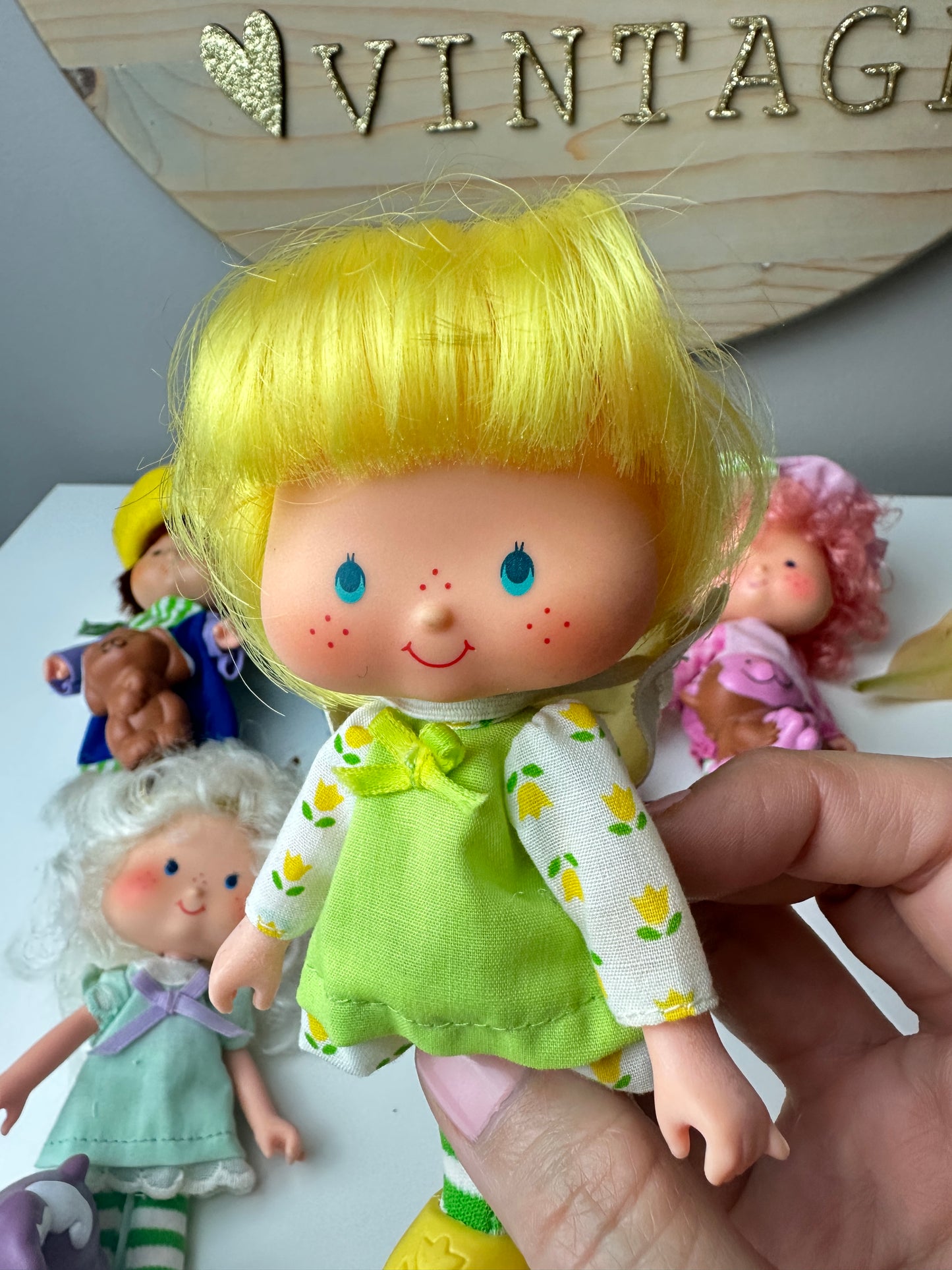 1983 Kenner Strawberry Shortcake Mint Tulip with Marsh Mallard Doll