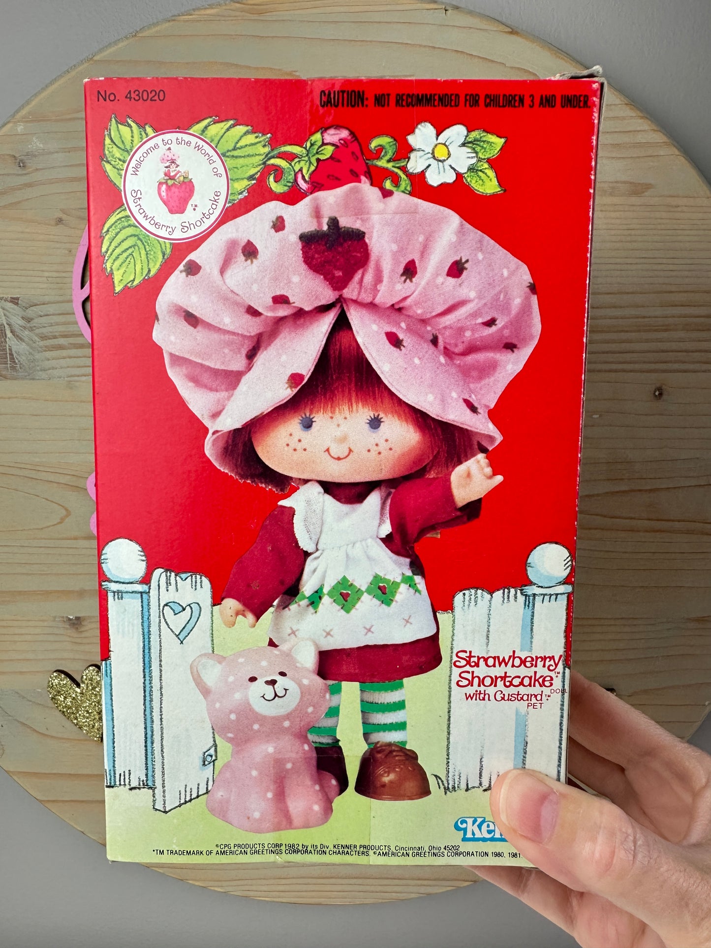 1982 Kenner Strawberry Shortcake with Custard Doll NRFB Sealed *Berry Vault*