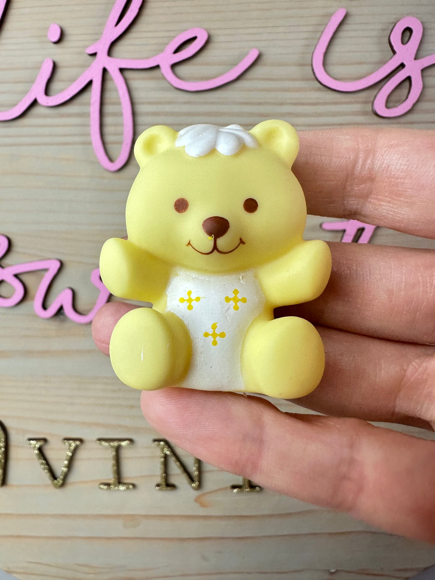 1982 Kenner Strawberry Shortcake Butter Cookie with Jelly Bear *Berry Vault*
