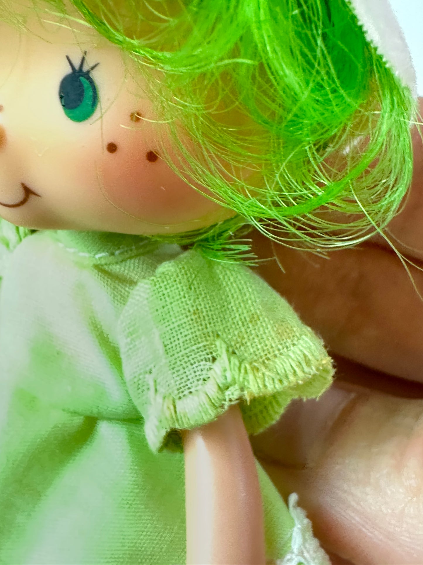 1982 Kenner Strawberry Shortcake Lime Chiffon with Parfait Parrot Doll with Box