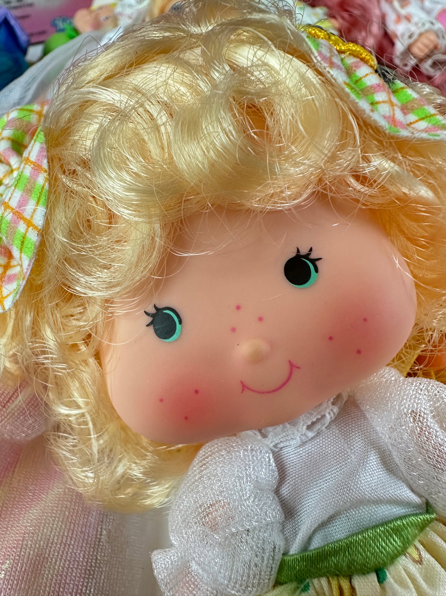 1985 Kenner Strawberry Shortcake COMPLETE Berrykin Doll Collection *Berry Vault*