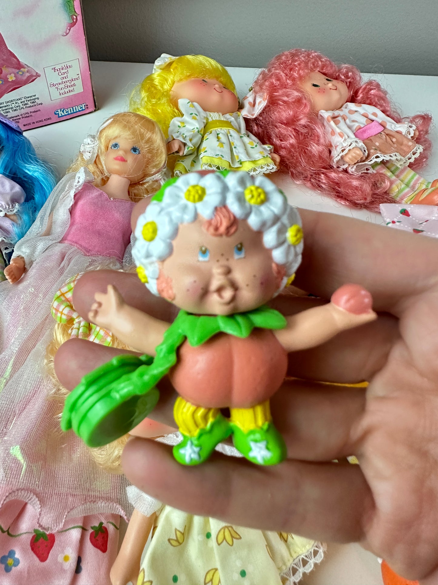 1985 Kenner Strawberry Shortcake COMPLETE Berrykin Doll Collection *Berry Vault*