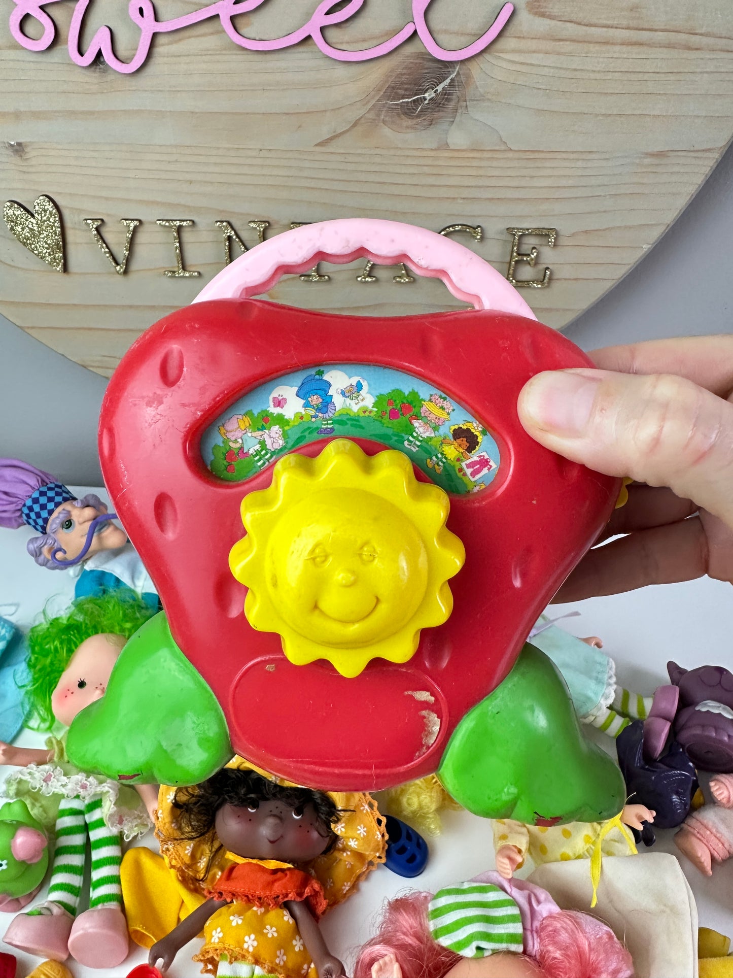 1980s Kenner Strawberry Shortcake Dolls, Pets, & Berry Wear Lot