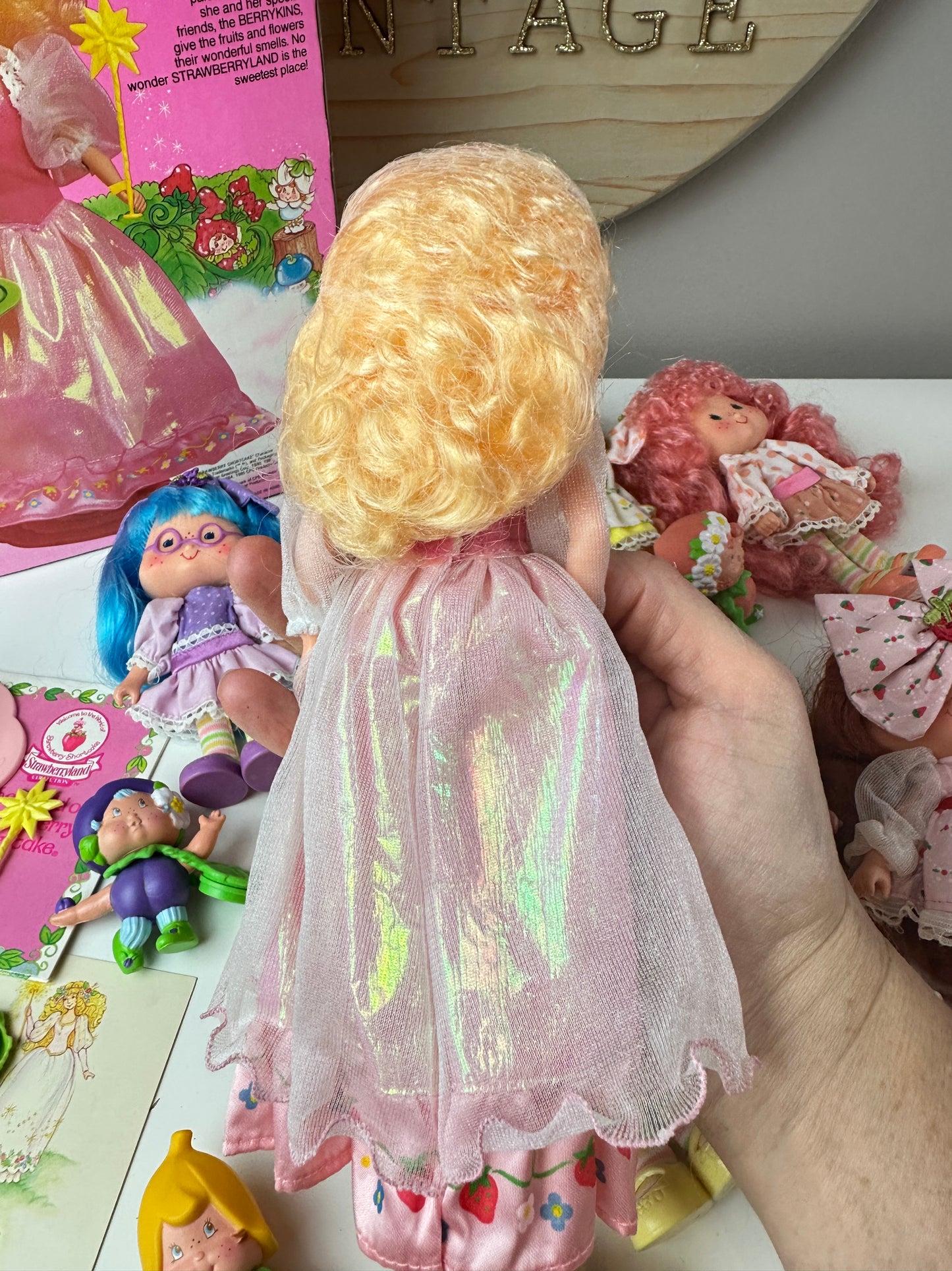1985 Kenner Strawberry Shortcake COMPLETE Berrykin Doll Collection *Berry Vault*