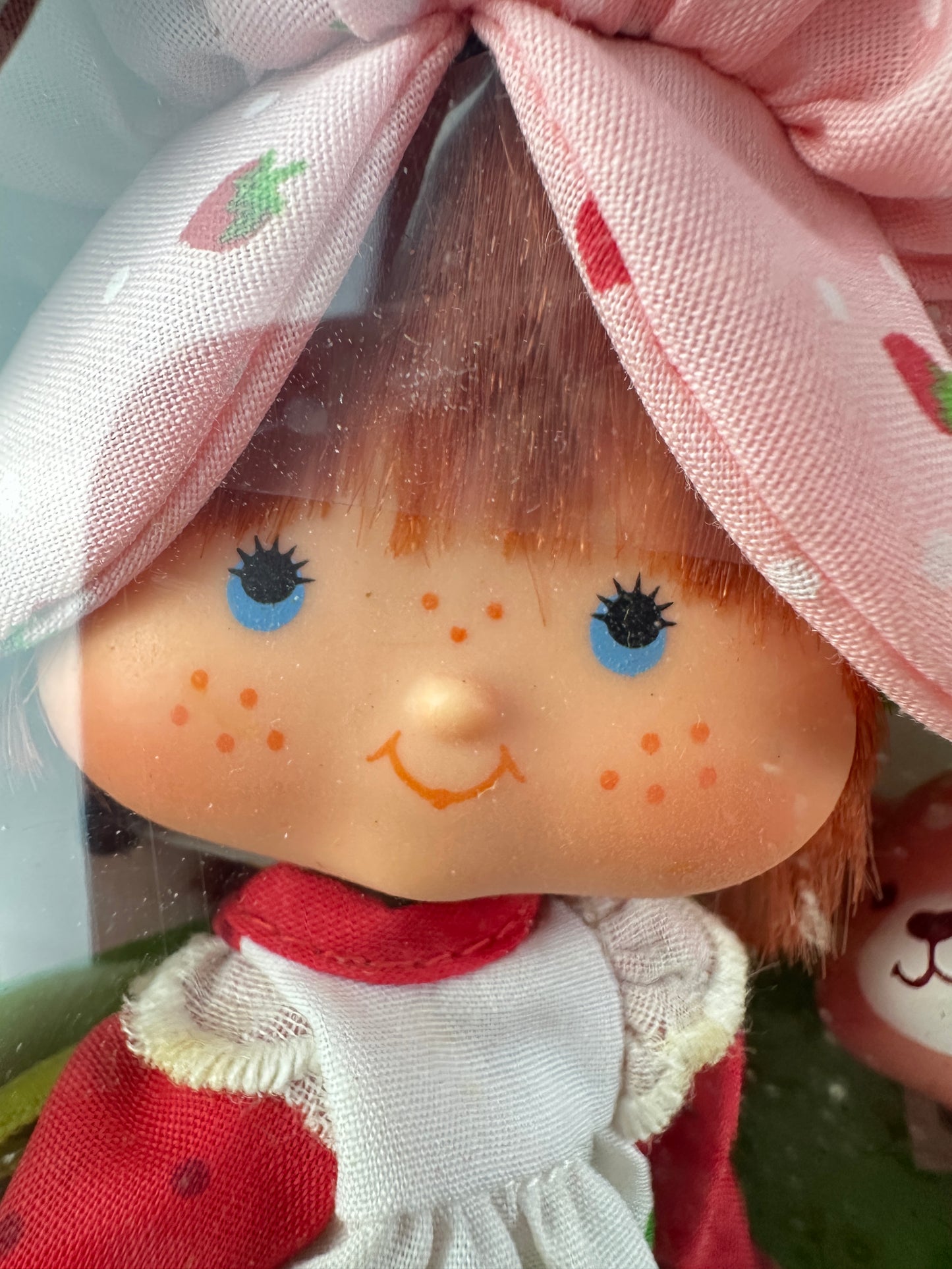 1982 Kenner Strawberry Shortcake with Custard Doll NRFB Sealed *Berry Vault*
