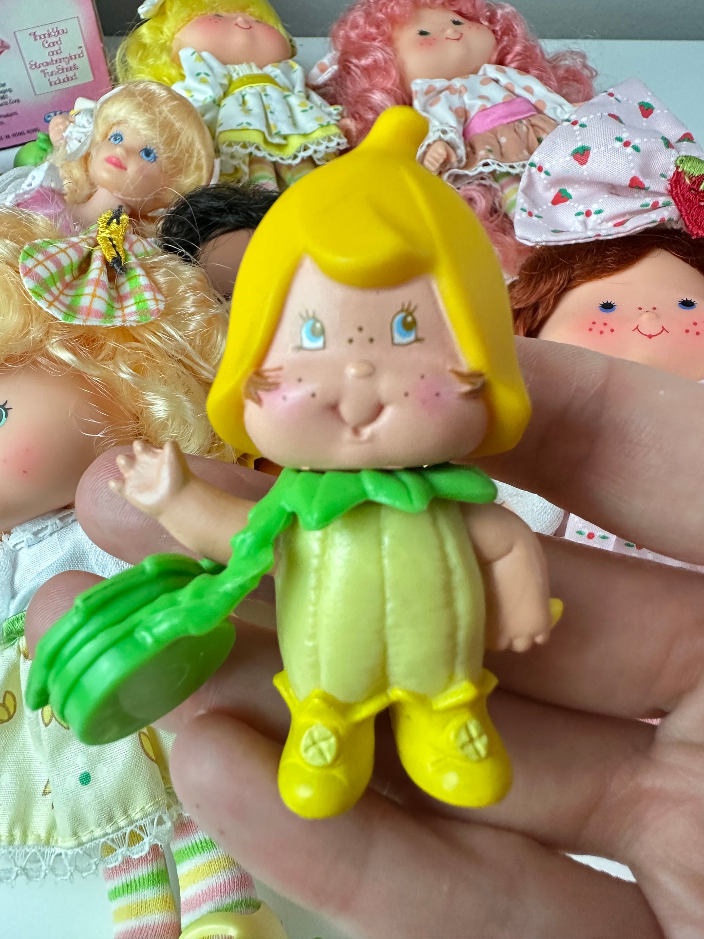 1985 Kenner Strawberry Shortcake COMPLETE Berrykin Doll Collection *Berry Vault*