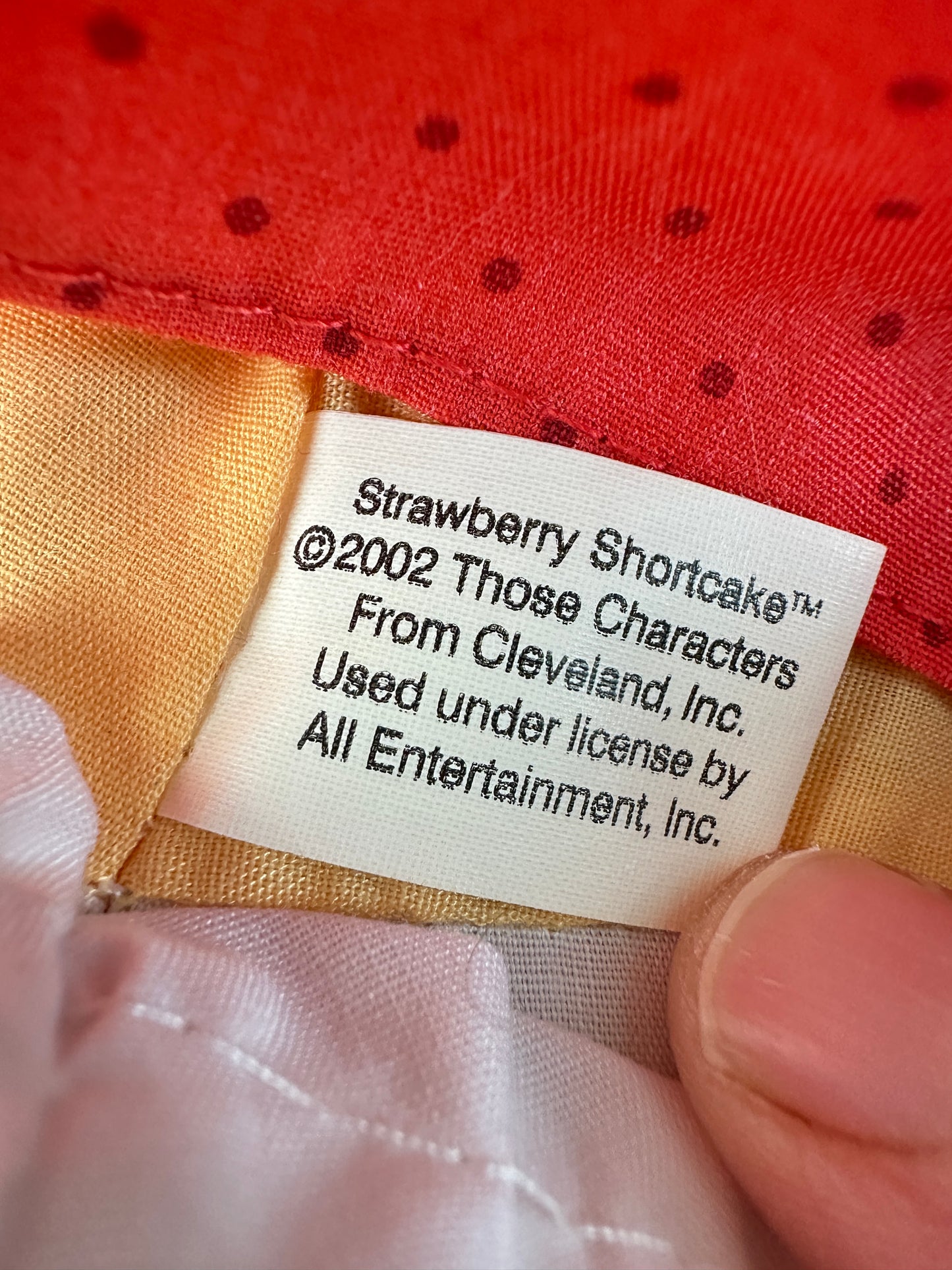 2002 TCFC Strawberry Shortcake Rag Doll