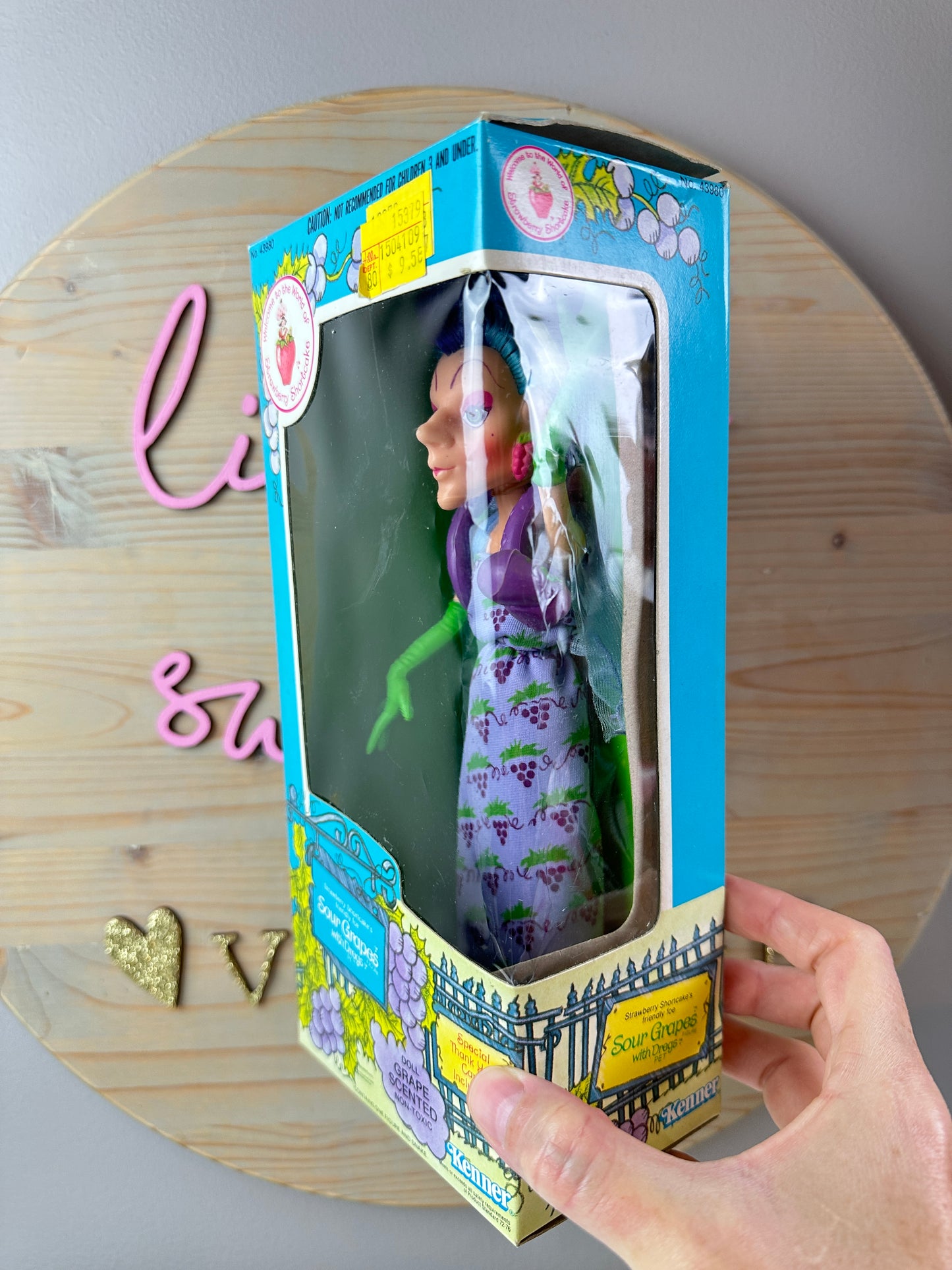 1982 Kenner Strawberry Shortcake Sour Grapes with Dregs Doll with Box
