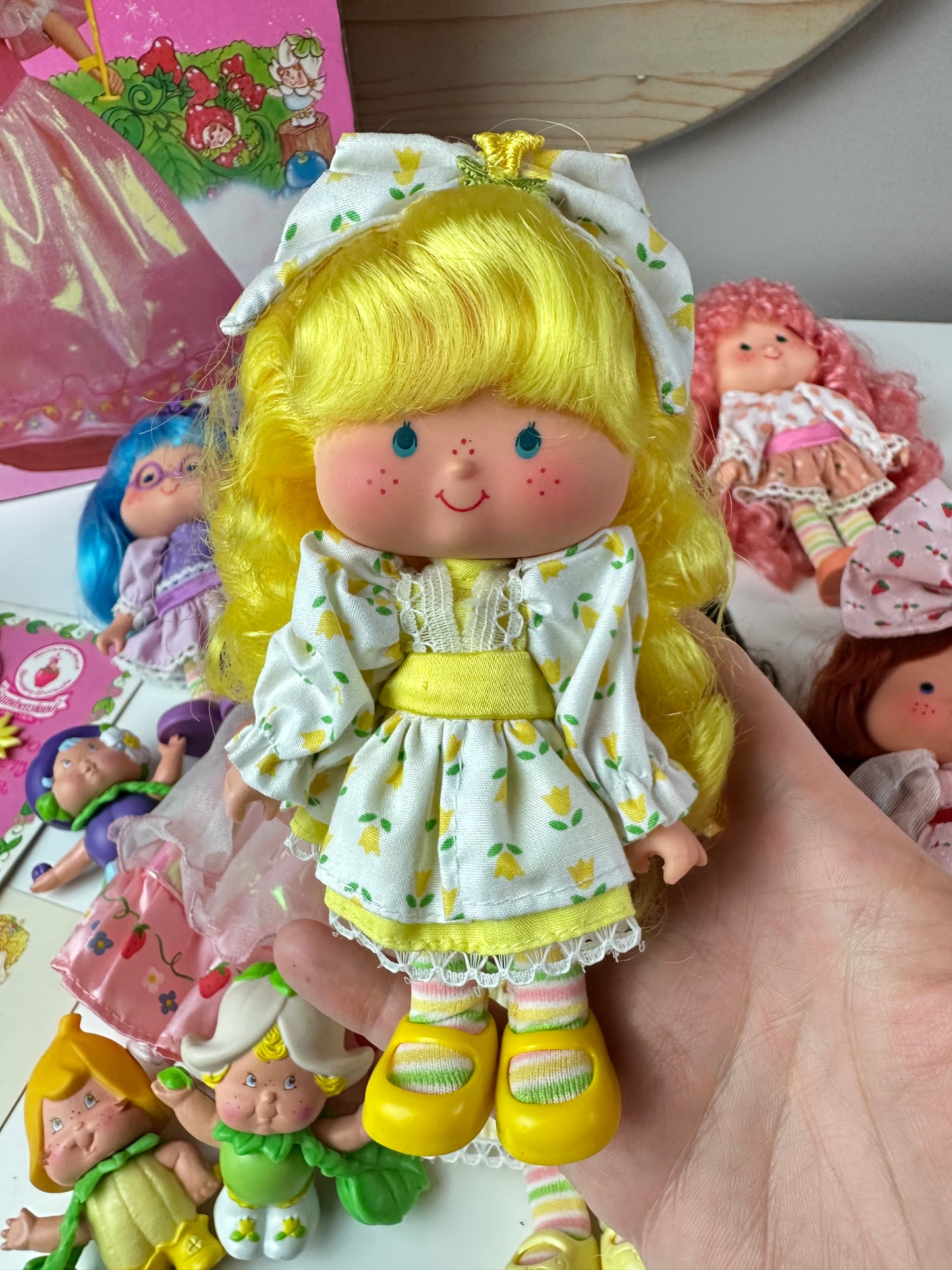 1985 Kenner Strawberry Shortcake COMPLETE Berrykin Doll Collection *Berry Vault*