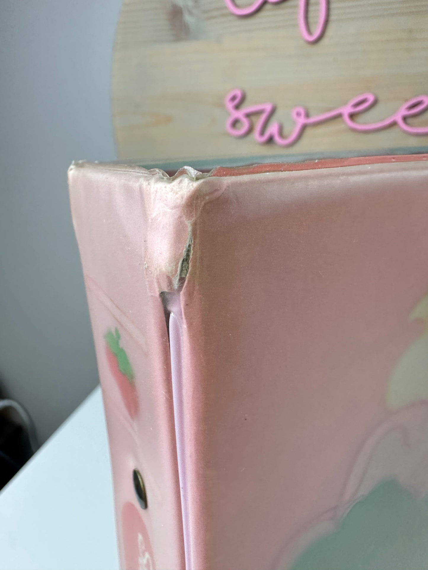 1984 Kenner Strawberry Shortcake Storybook Carry Case