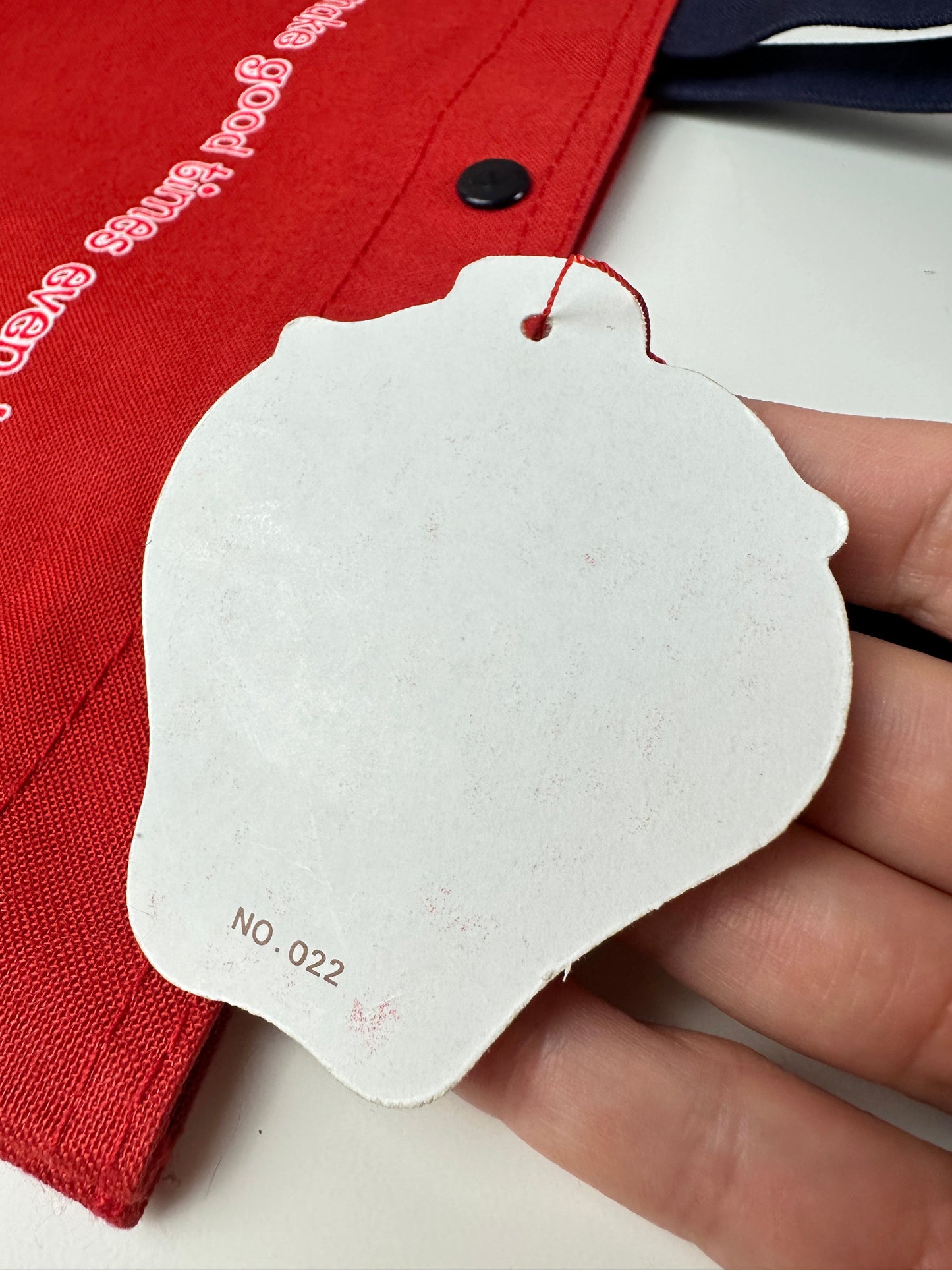 1980 Strawberry Shortcake Tote Bag Unused with Tag
