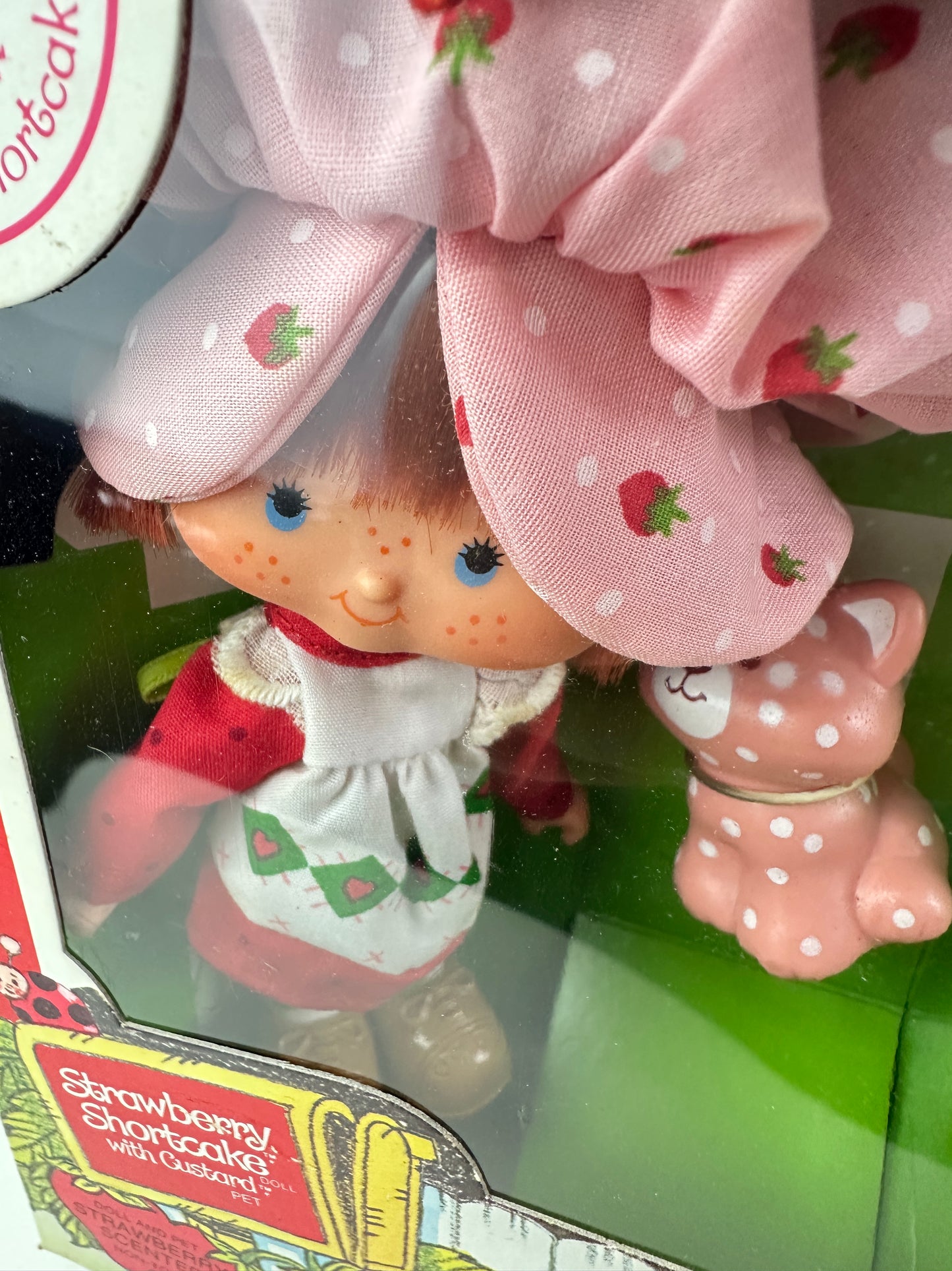 1982 Kenner Strawberry Shortcake with Custard Doll NRFB Sealed *Berry Vault*
