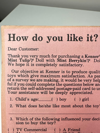 1985 Kenner Strawberry Shortcake Mint Tulip Berrykin Doll with Mint Berrykin *Berry Vault*