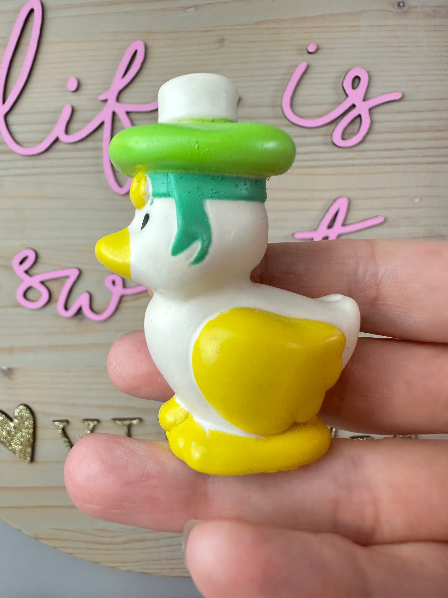 1983 Kenner Strawberry Shortcake Mint Tulip with Marsh Mallard *Berry Vault*