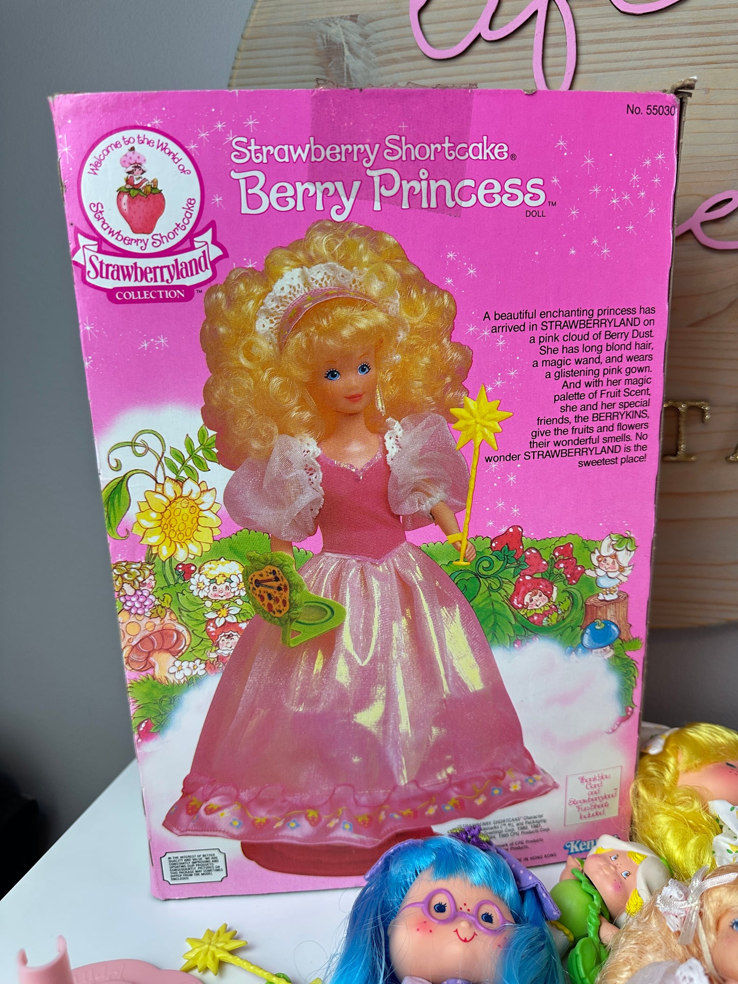1985 Kenner Strawberry Shortcake COMPLETE Berrykin Doll Collection *Berry Vault*