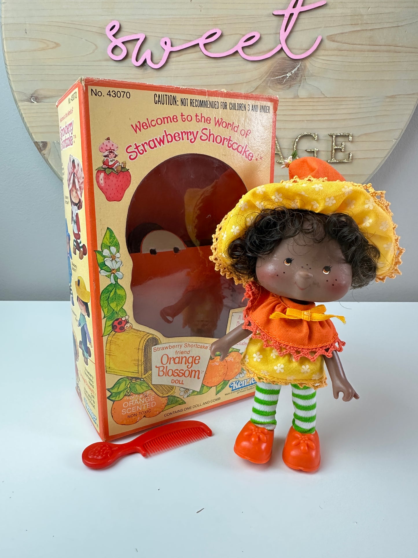 1980 Kenner Strawberry Shortcake Orange Blosson First Release with Box