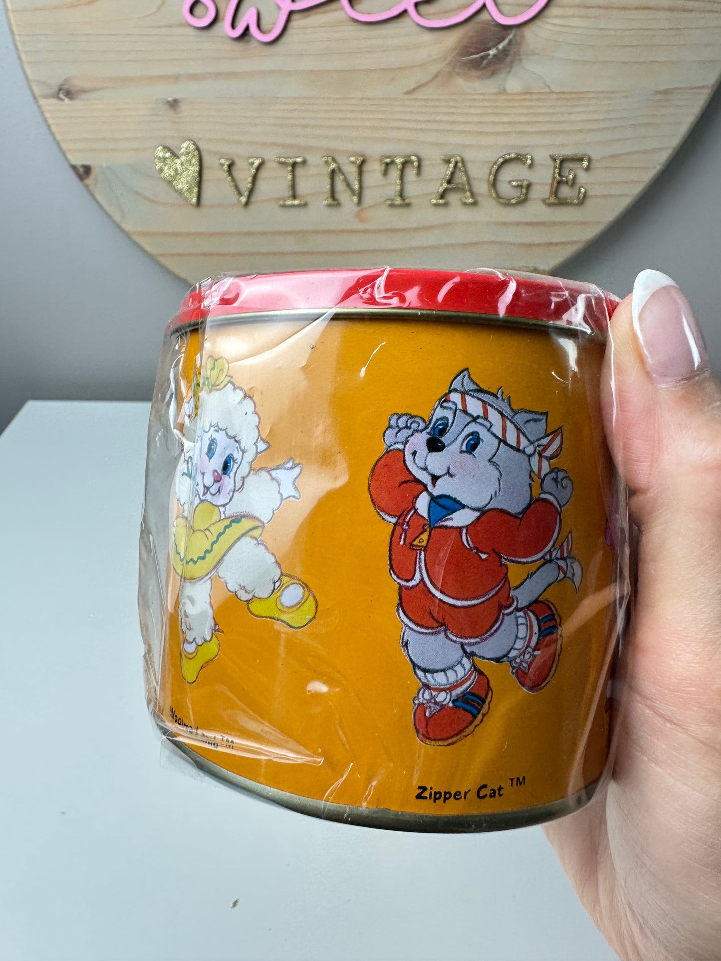 1985 Designer's Collection Get Along Gang Tin Pencil Crayon Holder MIB