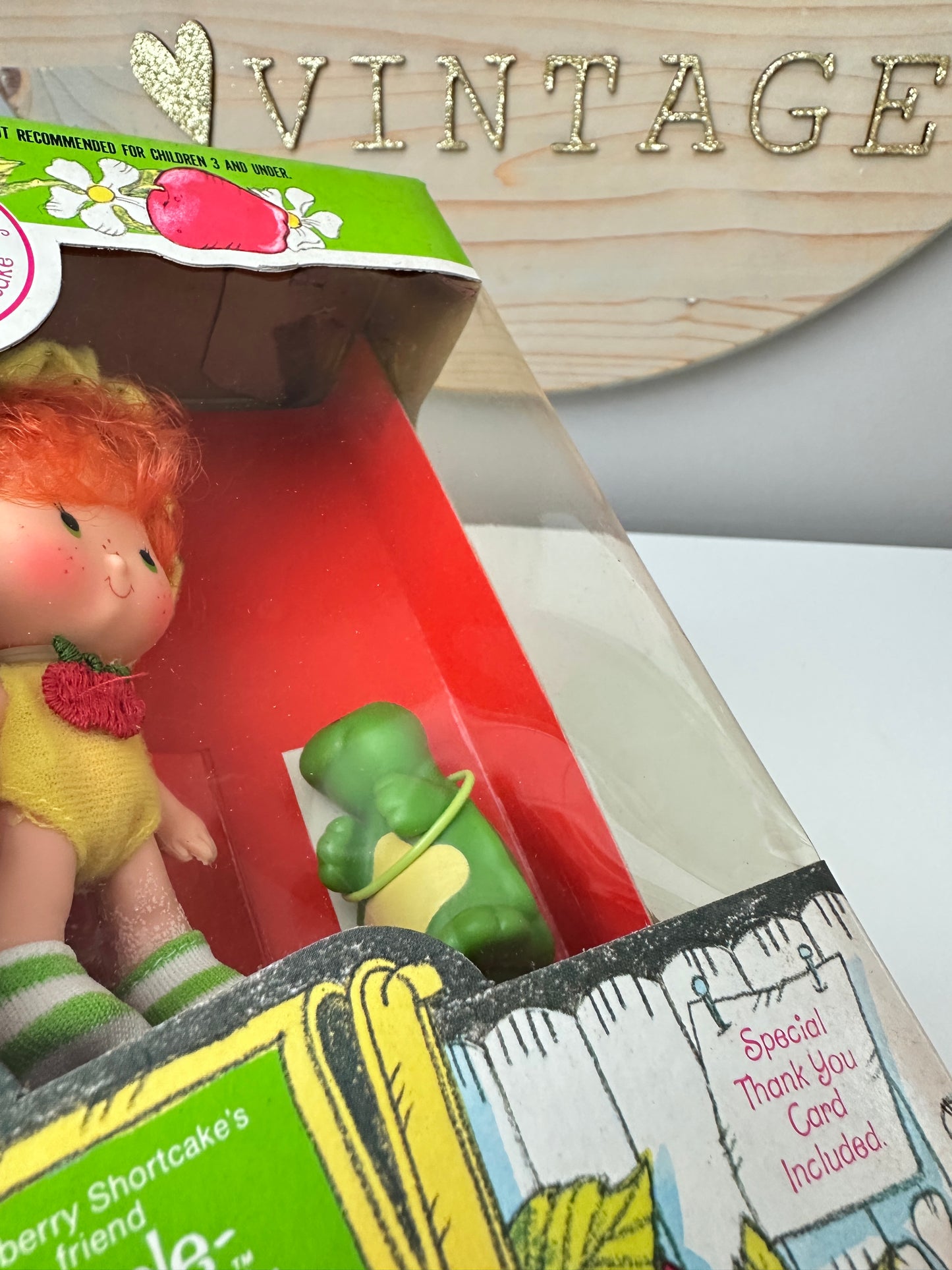 1982 Kenner Strawberry Shortcake Apple Dumplin' with Tea Time Turtle Doll NRFB Factory Sealed