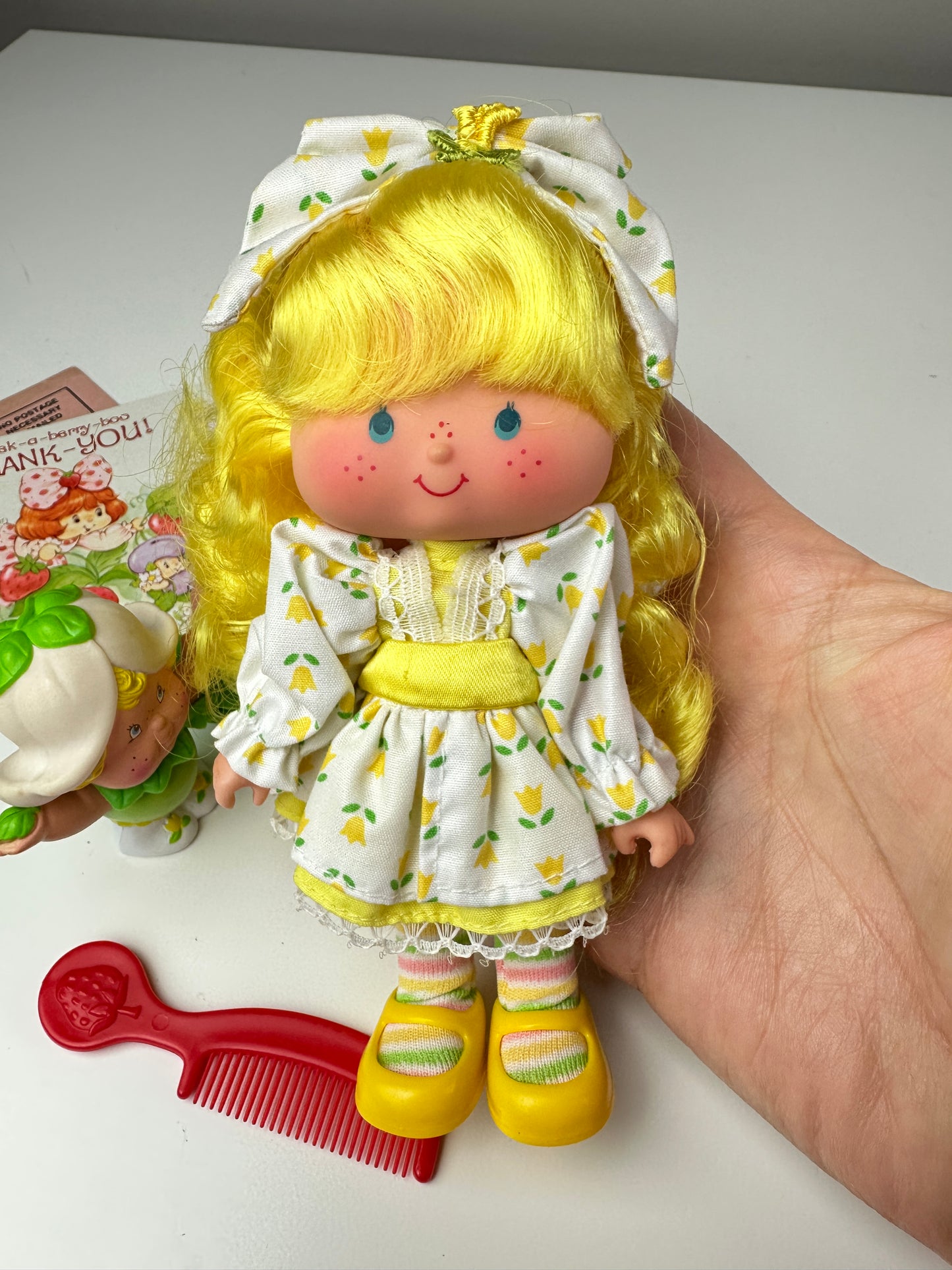 1985 Kenner Strawberry Shortcake Mint Tulip Berrykin Doll with Mint Berrykin *Berry Vault*