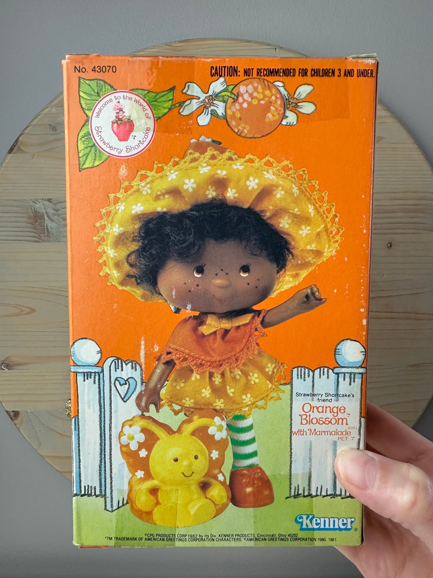 1982 Kenner Strawberry Shortcake Orange Blossom with Marmalade Doll NRFB Sealed