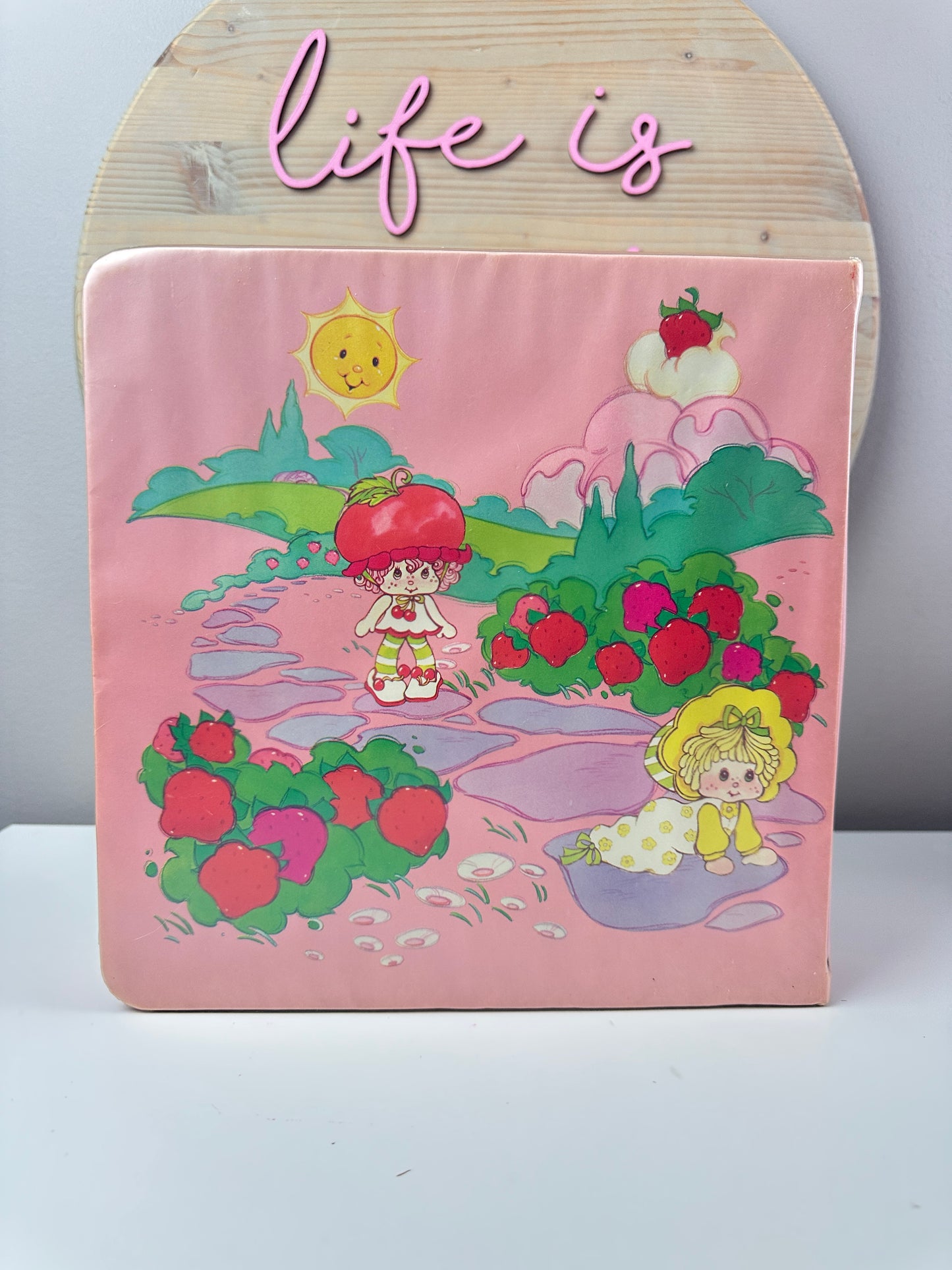 1984 Kenner Strawberry Shortcake Storybook Carrying Case