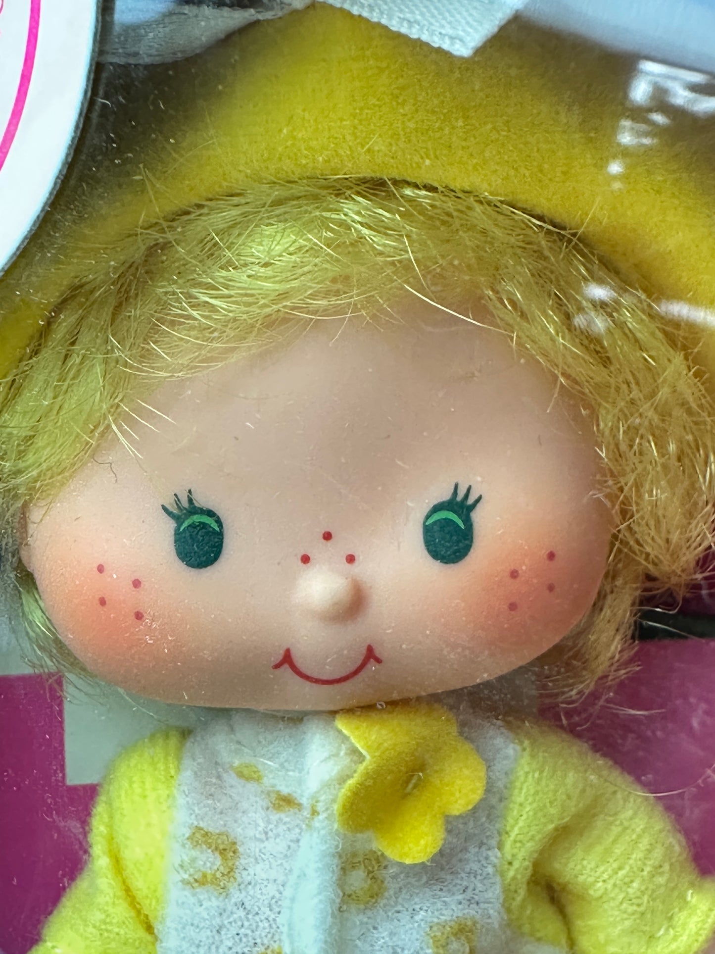 1982 Kenner Strawberry Shortcake Butter Cookie with Jelly Bear Doll NRFB Factory Sealed