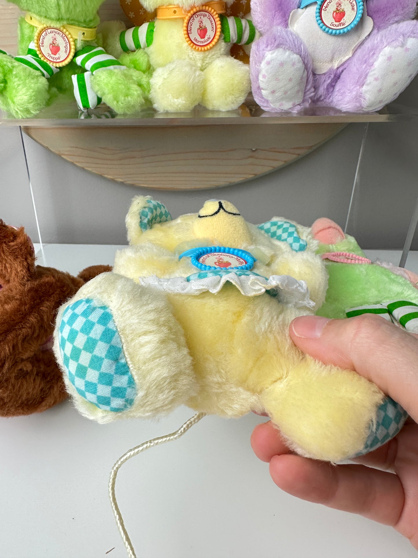 1983 Kenner Strawberry Shortcake Small Plush Pets [Sold Separately] [RARE]