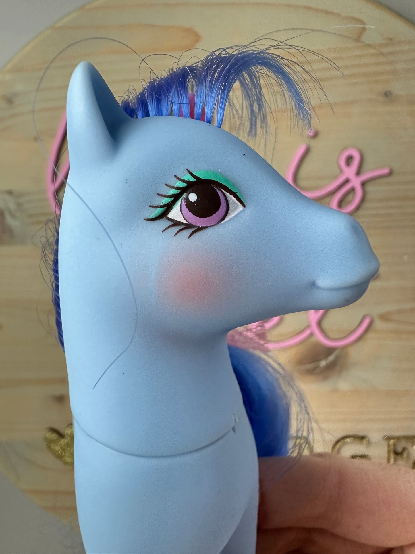 1980s Hasbro My Little Pony Sweetheart Sister Flowerburst with Accessories