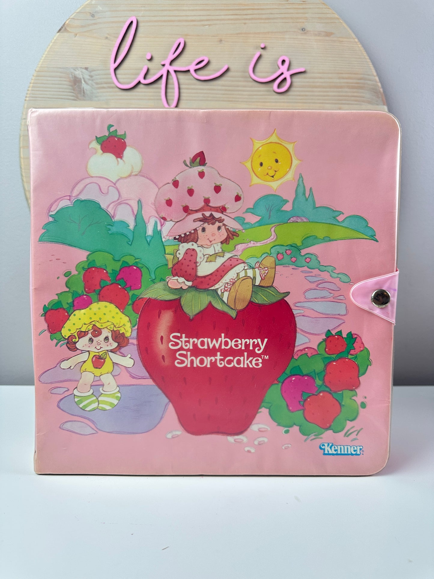 1984 Kenner Strawberry Shortcake Storybook Carrying Case