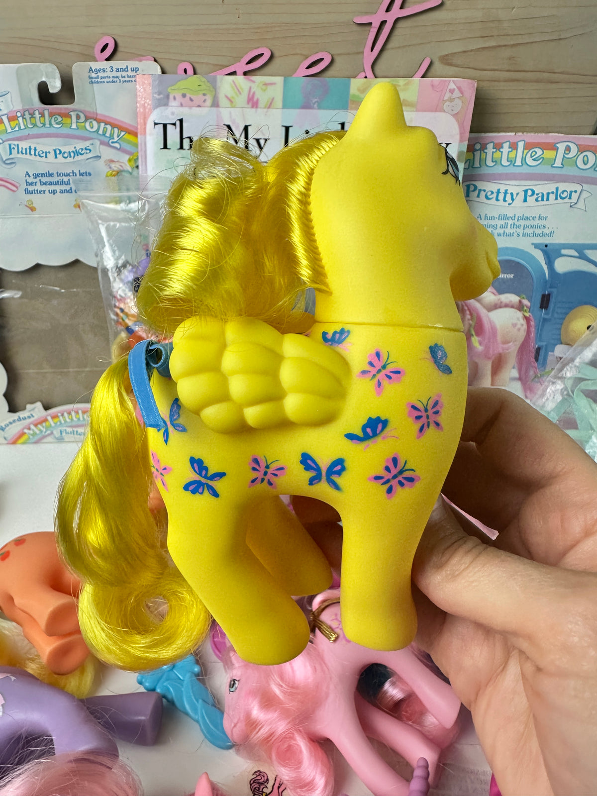 1980s G1 My Little Pony Lot with Accessories & Guide *Berry Vault*