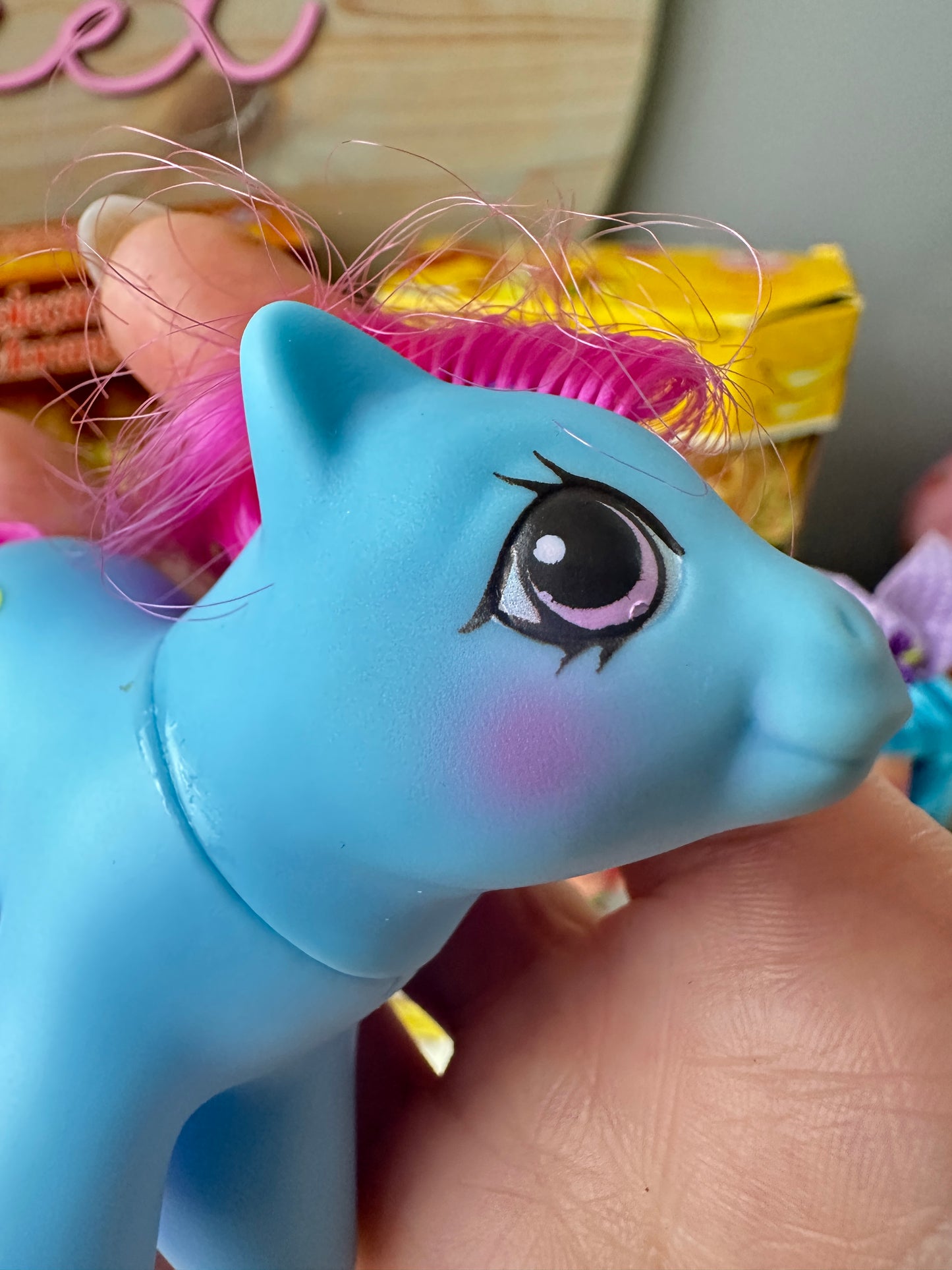 1980s Hasbro My Little Pony Newborn Shaggy *Berry Vault*