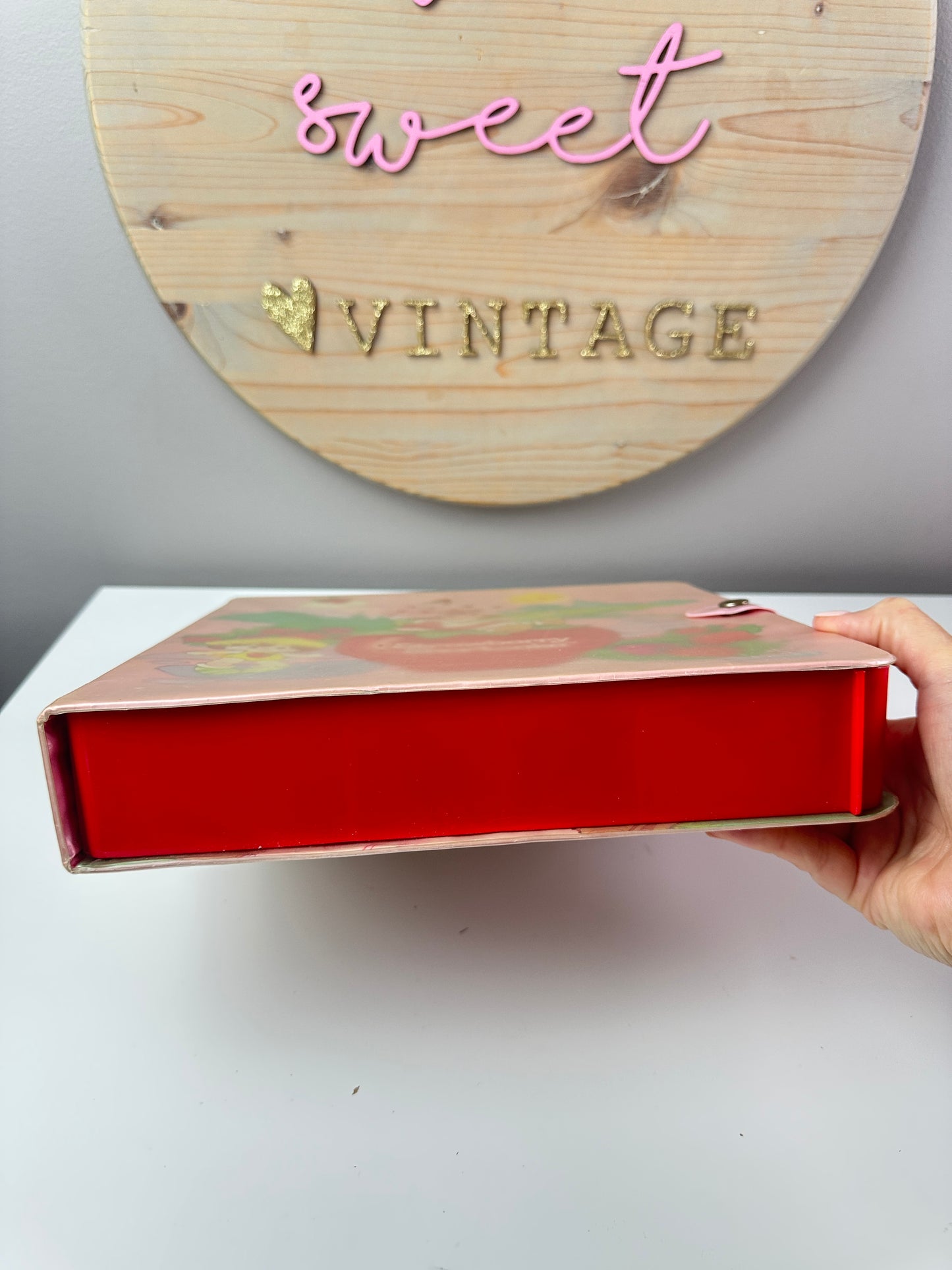 1984 Kenner Strawberry Shortcake Storybook Carrying Case