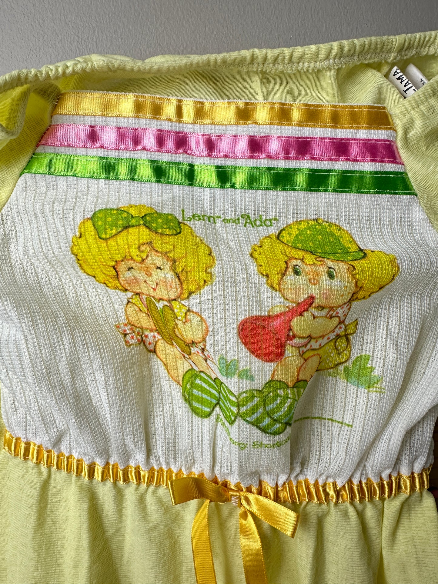 1980s Bates Jama Strawberry Shortcake Lem and Ada Gown 2T