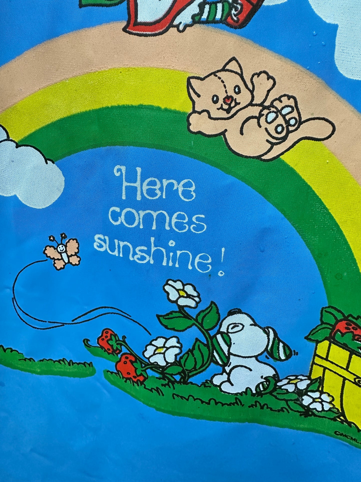 1980s Strawberry Shortcake Rain Jacket Slicker "Here Comes Sunshine" Size 6