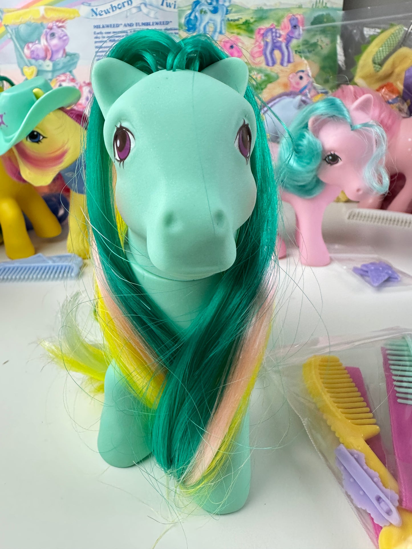1980s Hasbro My Little Pony Braided Beauty Brush 'n Grow Pony with Accessories