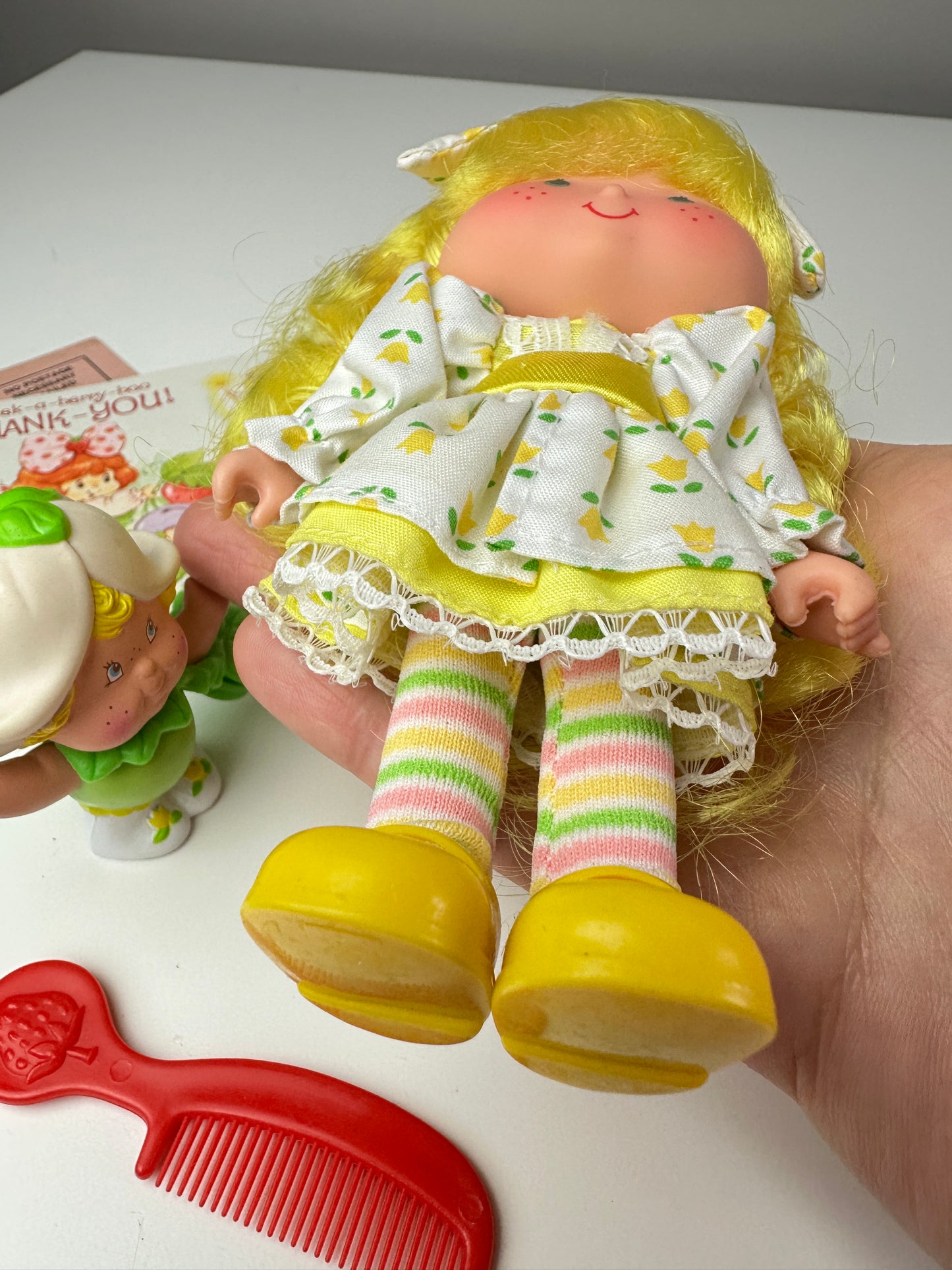 1985 Kenner Strawberry Shortcake Mint Tulip Berrykin Doll with Mint Berrykin *Berry Vault*