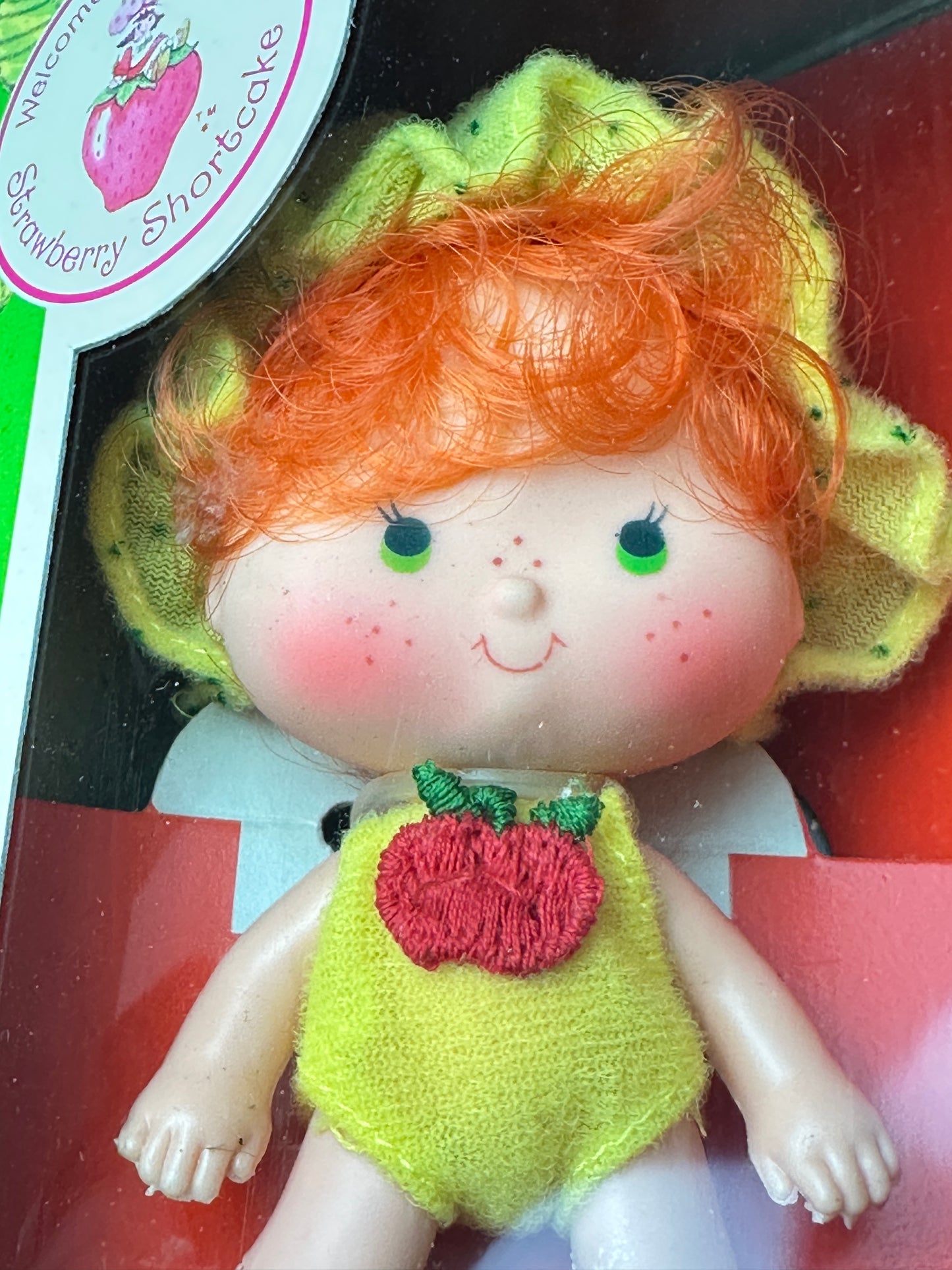 1982 Kenner Strawberry Shortcake Apple Dumplin' with Tea Time Turtle Doll NRFB Factory Sealed