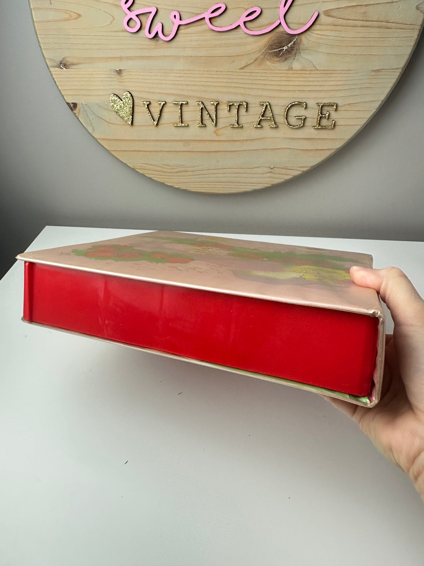 1984 Kenner Strawberry Shortcake Storybook Carry Case *Berry Vault*