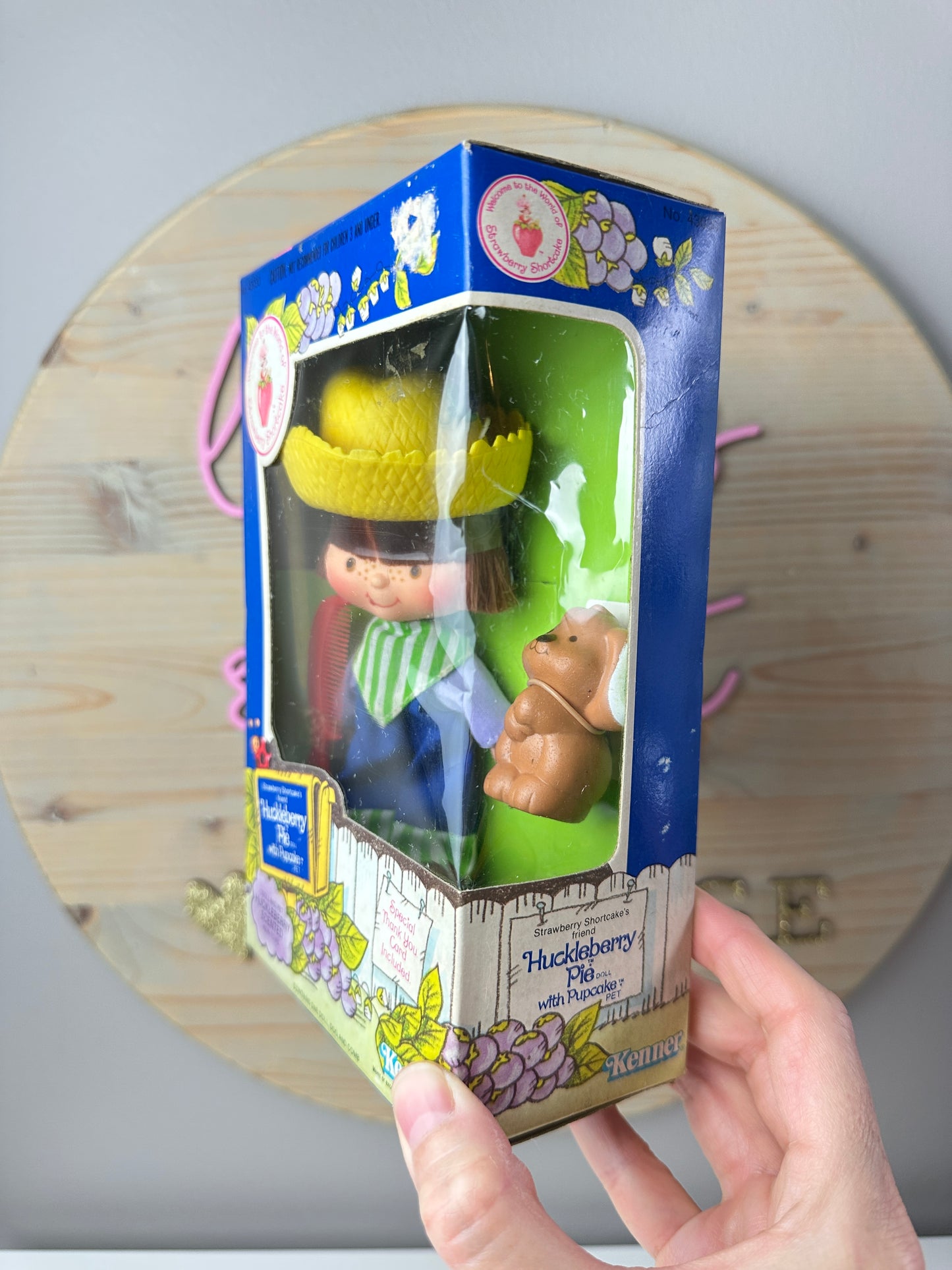 1982 Kenner Strawberry Shortcake Huckleberry Pie with Pupcake Doll NRFB Sealed