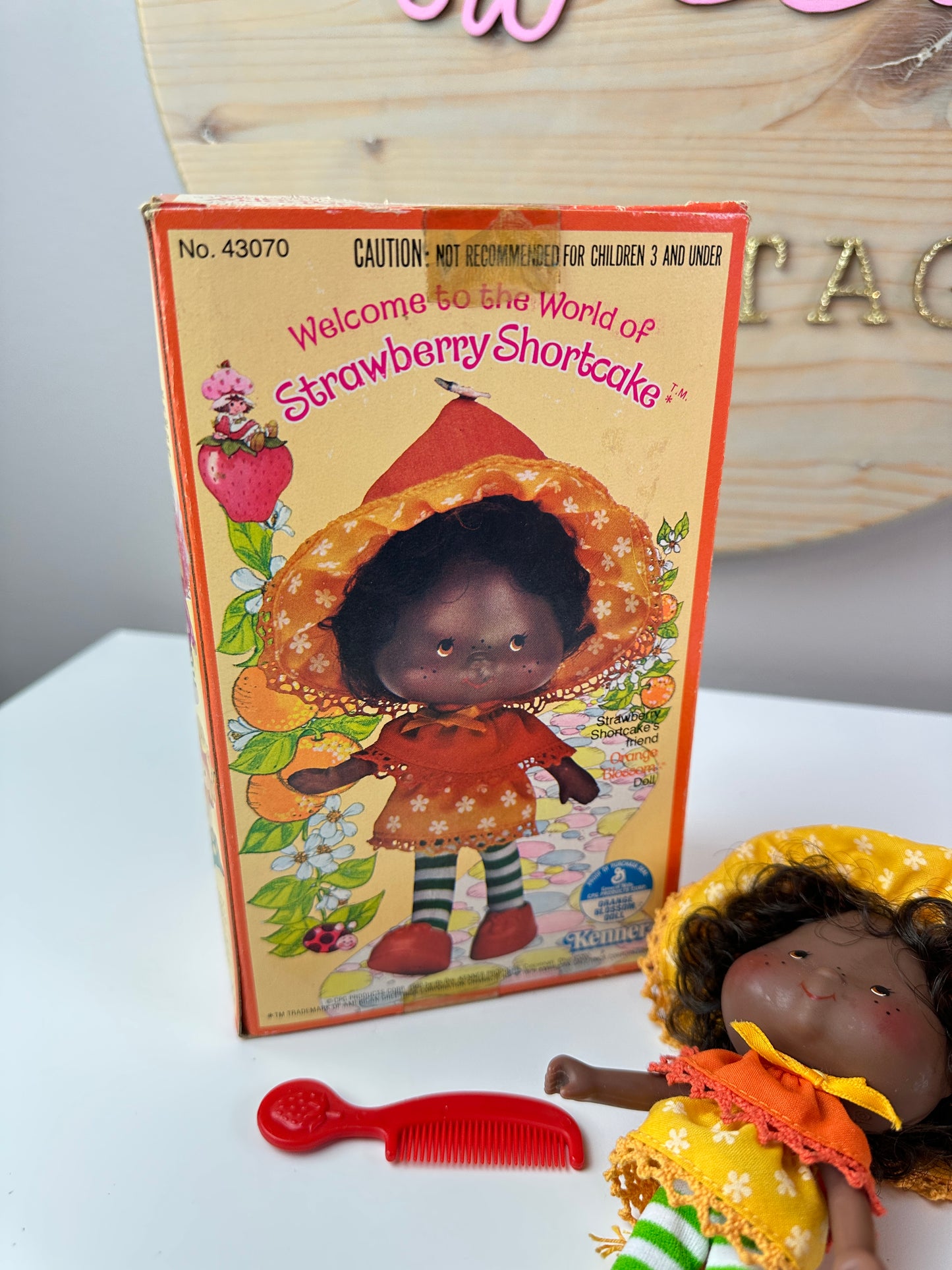 1980 Kenner Strawberry Shortcake Orange Blosson First Release with Box