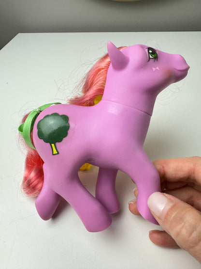 1980s Hasbro My Little Pony Windy Magic Message Pony with Accessories