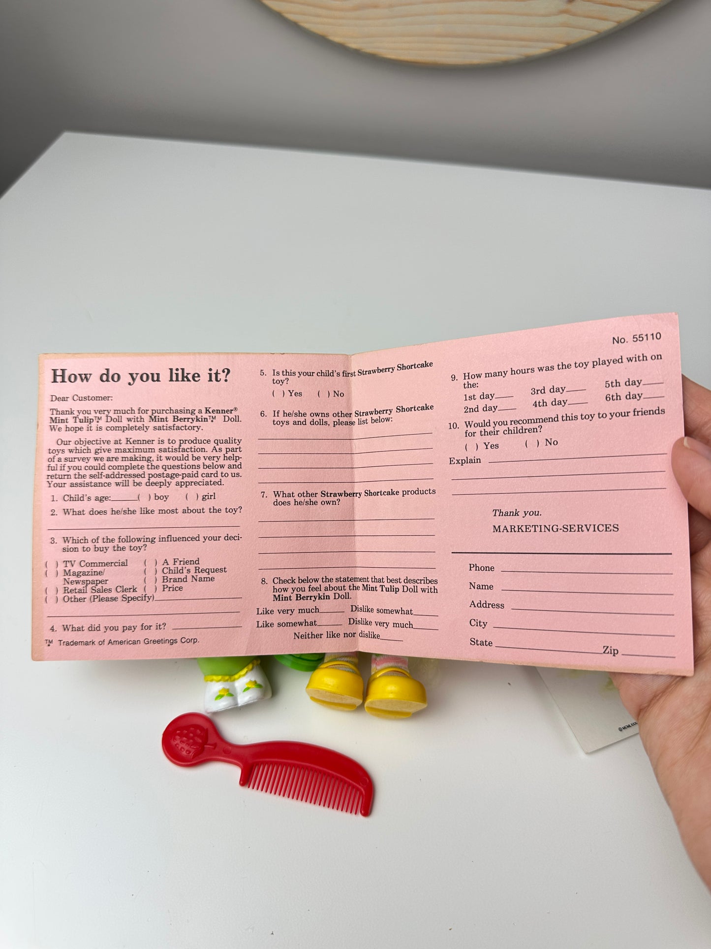 1985 Kenner Strawberry Shortcake Mint Tulip Berrykin Doll with Mint Berrykin *Berry Vault*