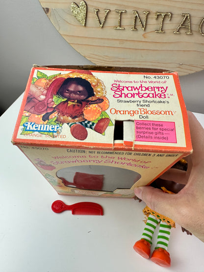 1980 Kenner Strawberry Shortcake Orange Blosson First Release with Box