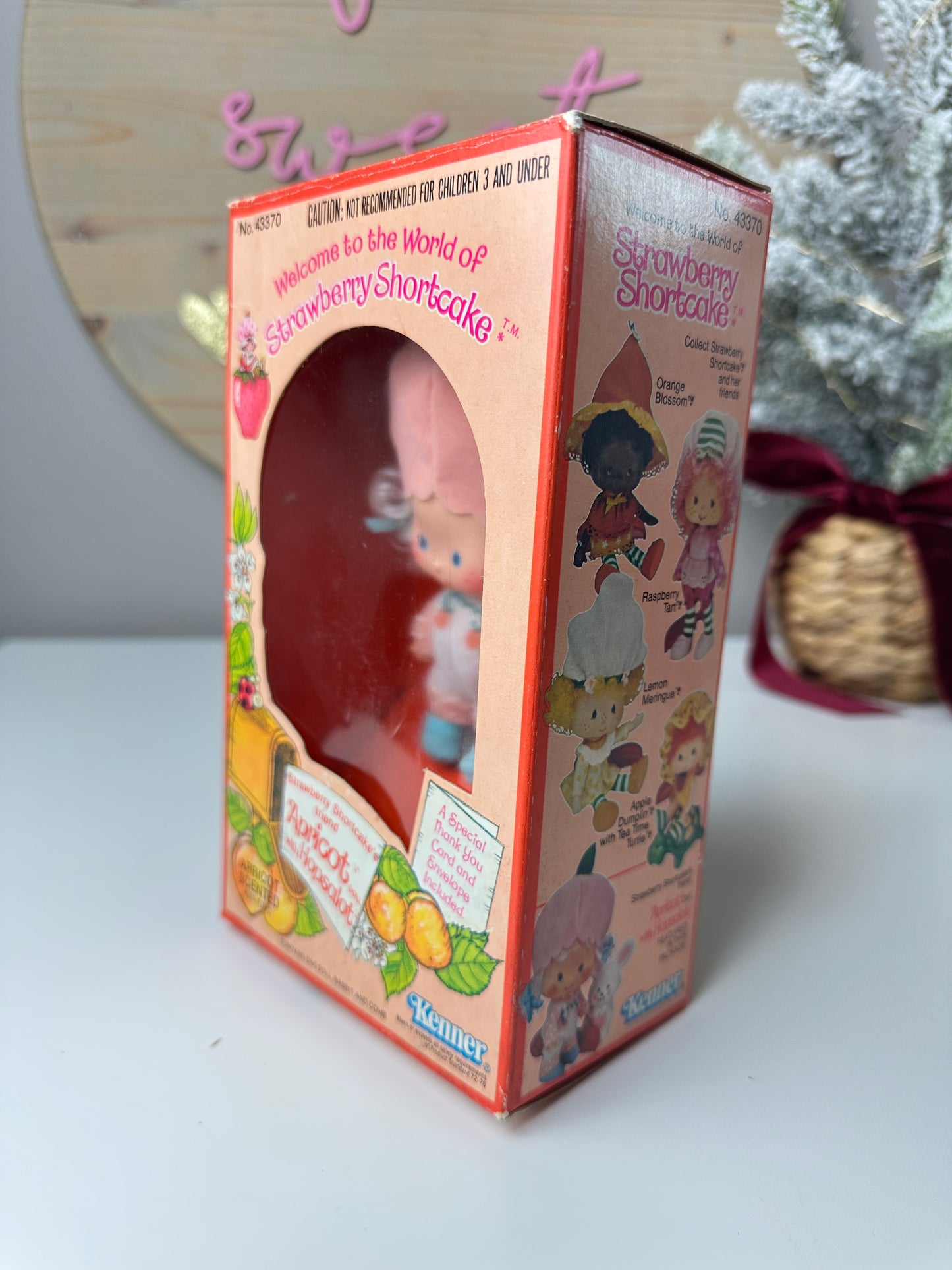 1980 Kenner Strawberry Shortcake Apricot with Hopsalot Doll MIB