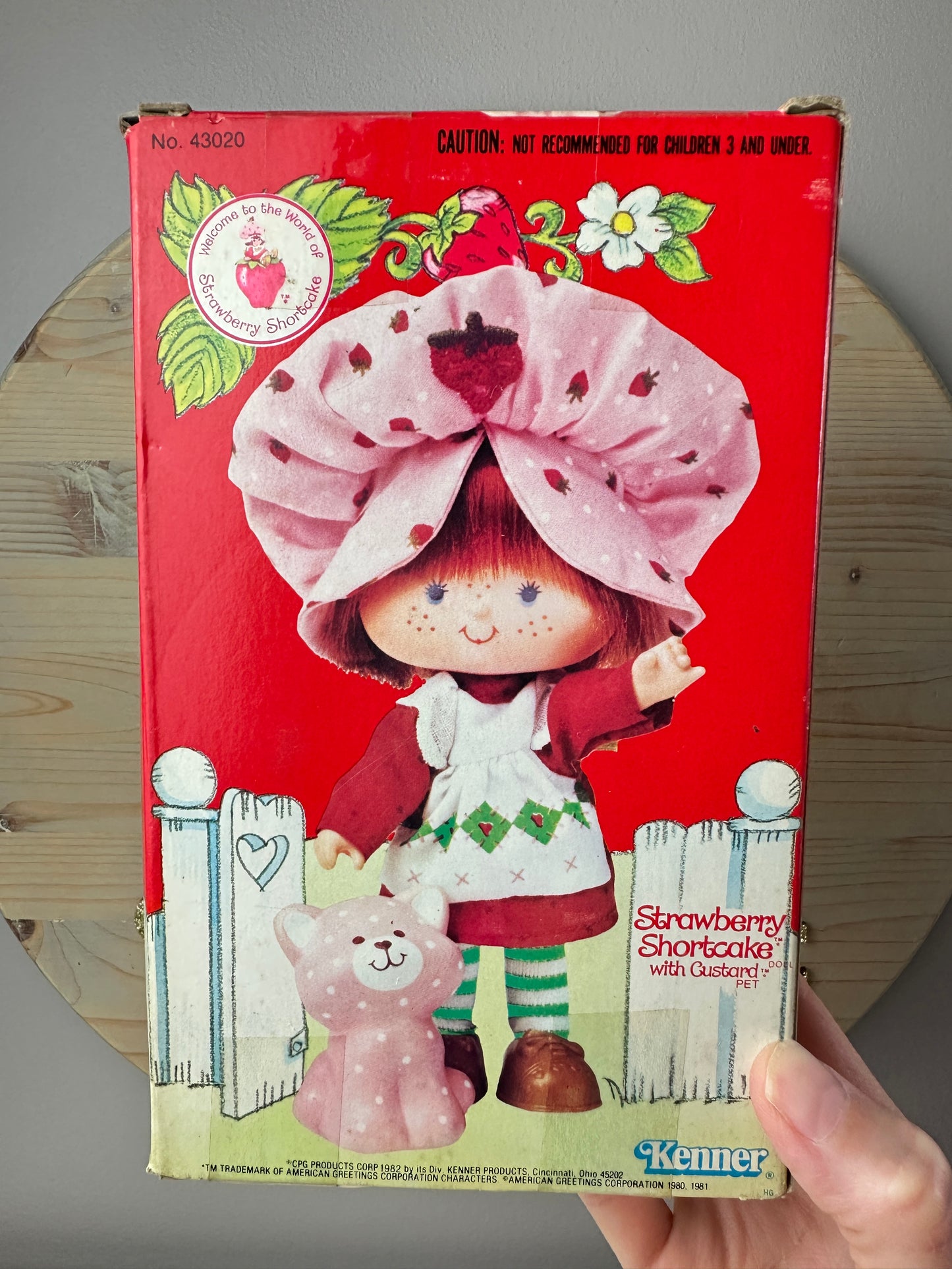 1982 Kenner Strawberry Shortcake with Custard Doll NRFB Sealed