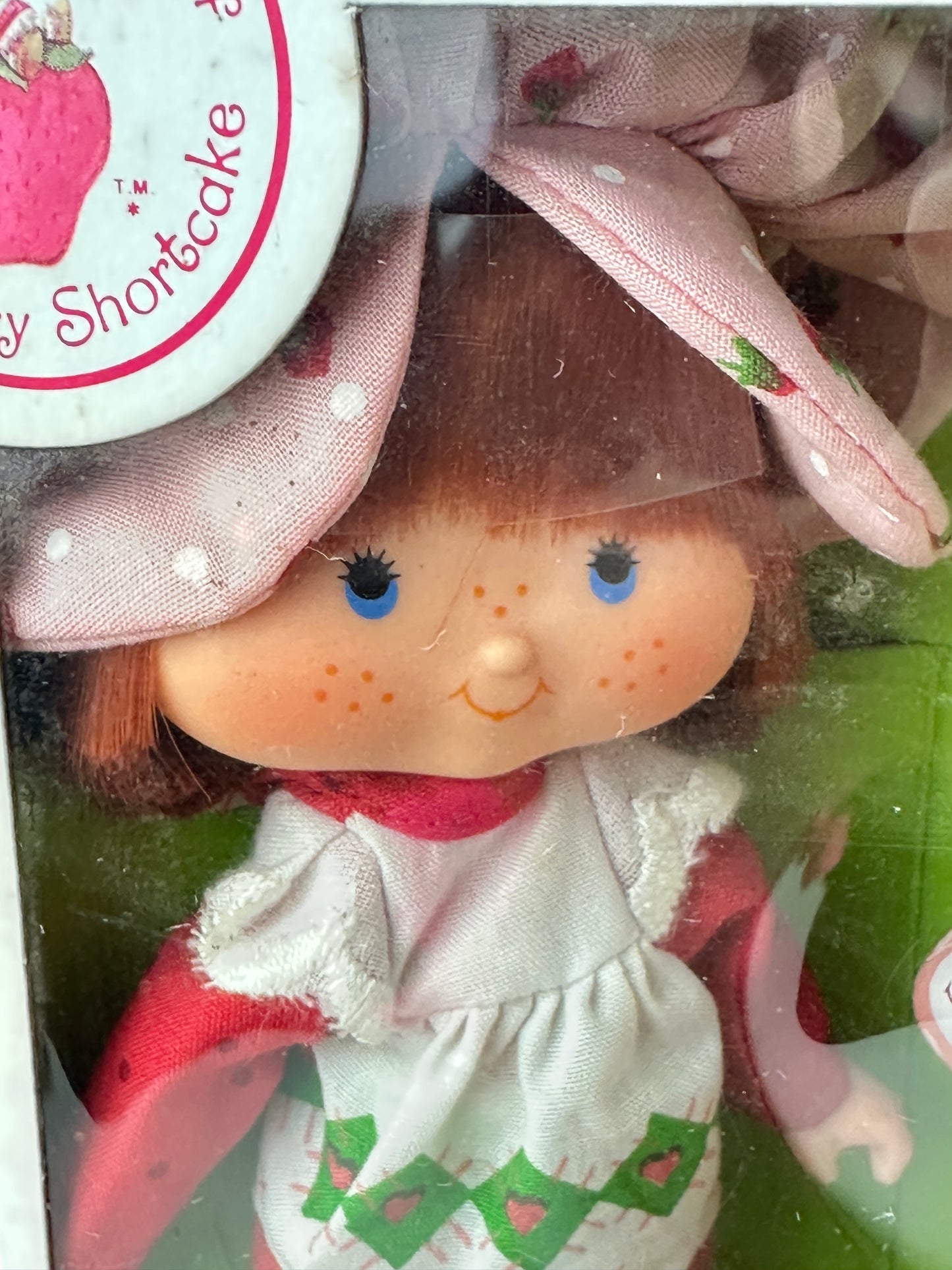 1982 Kenner Strawberry Shortcake with Custard Doll NRFB Sealed