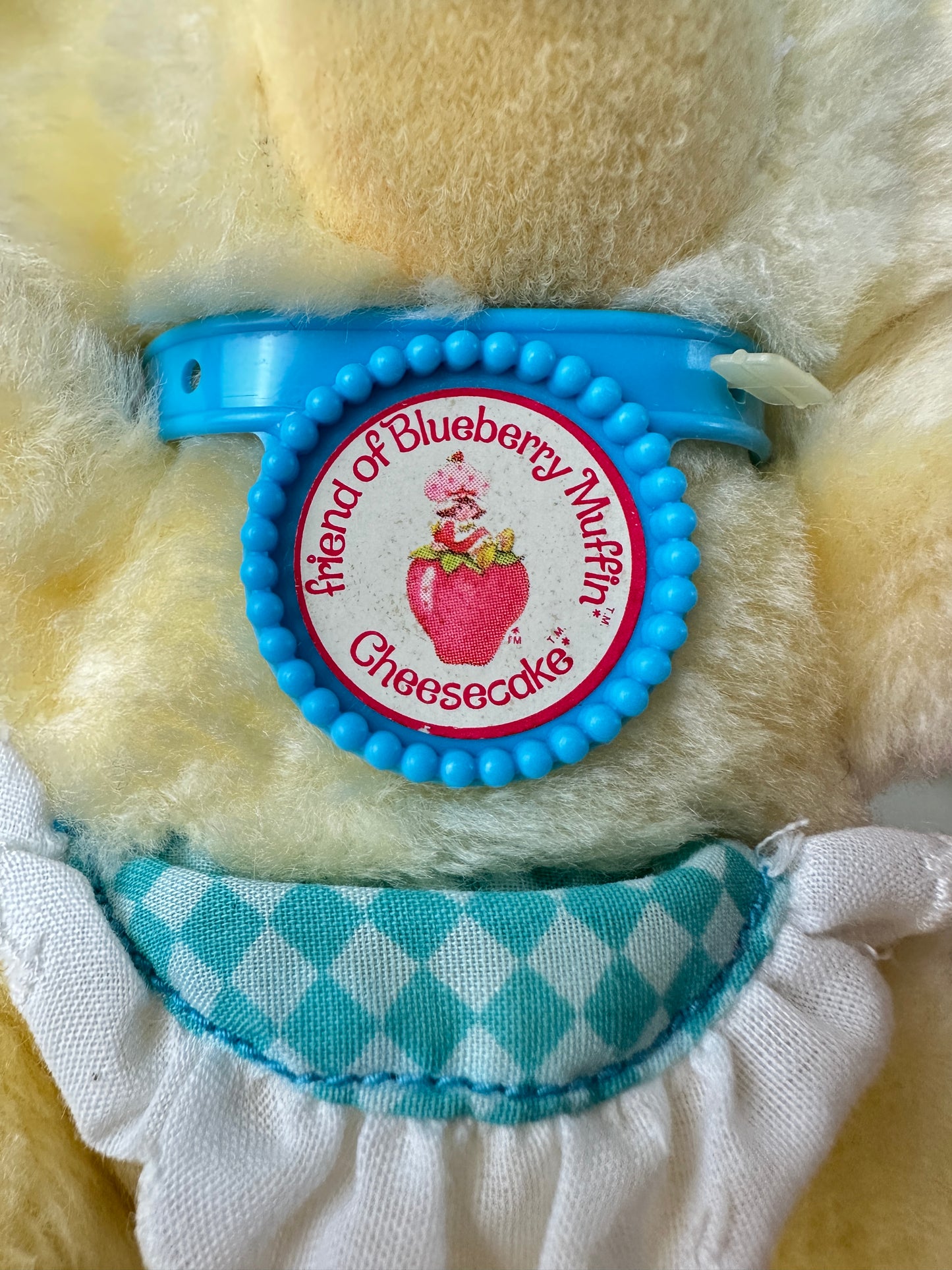 1983 Kenner Strawberry Shortcake Small Plush Pets [Sold Separately] [RARE]