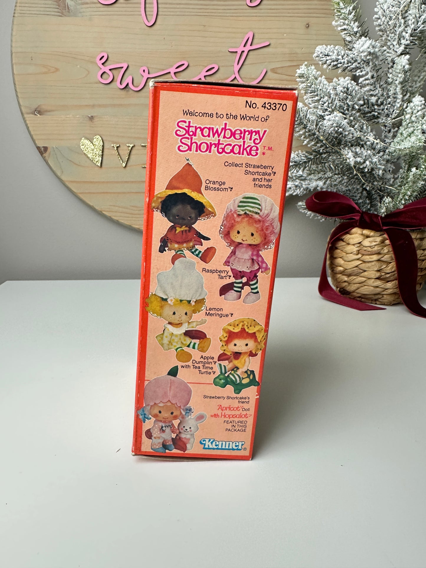1980 Kenner Strawberry Shortcake Apricot with Hopsalot Doll MIB