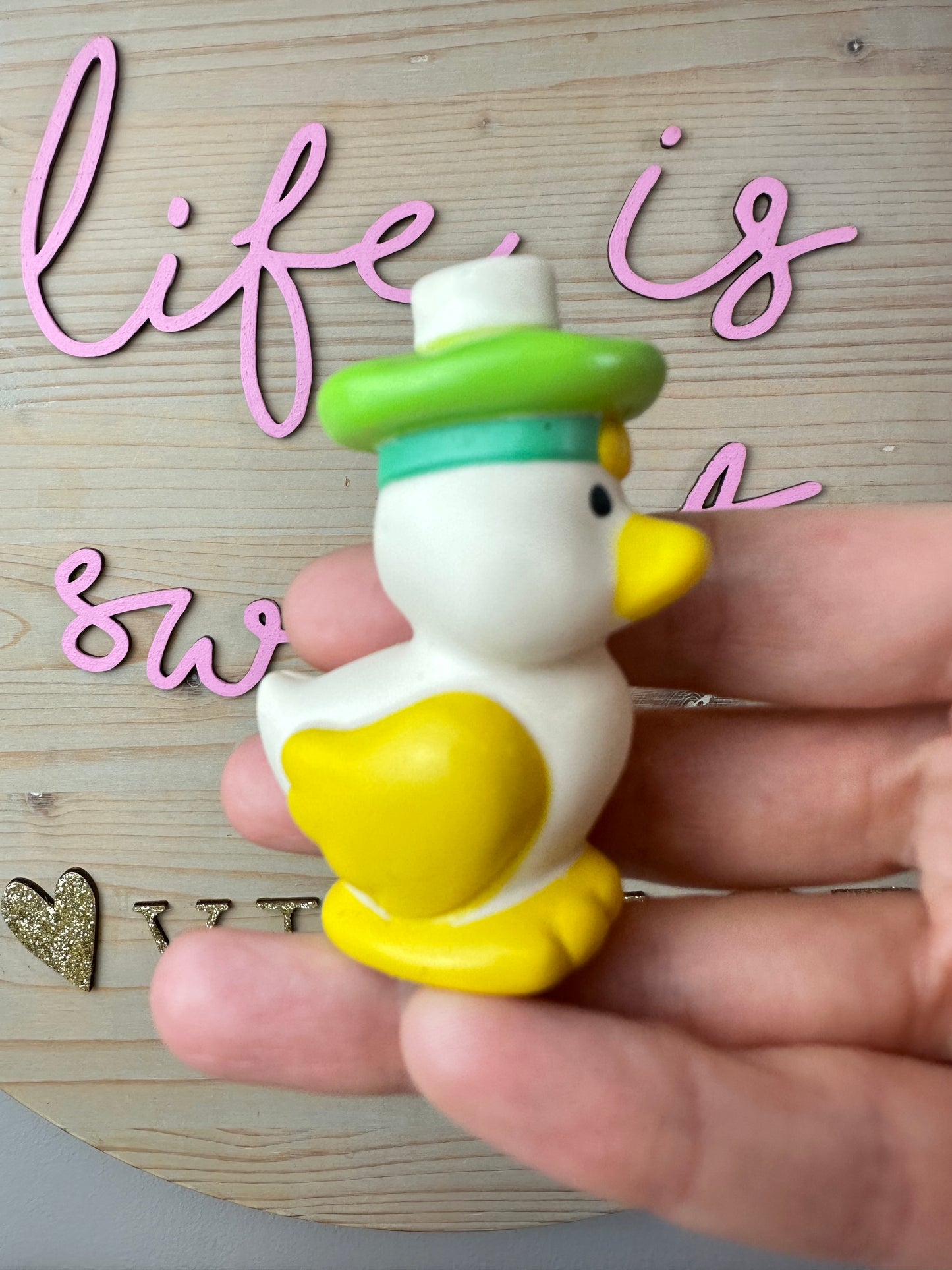 1983 Kenner Strawberry Shortcake Mint Tulip with Marsh Mallard *Berry Vault*