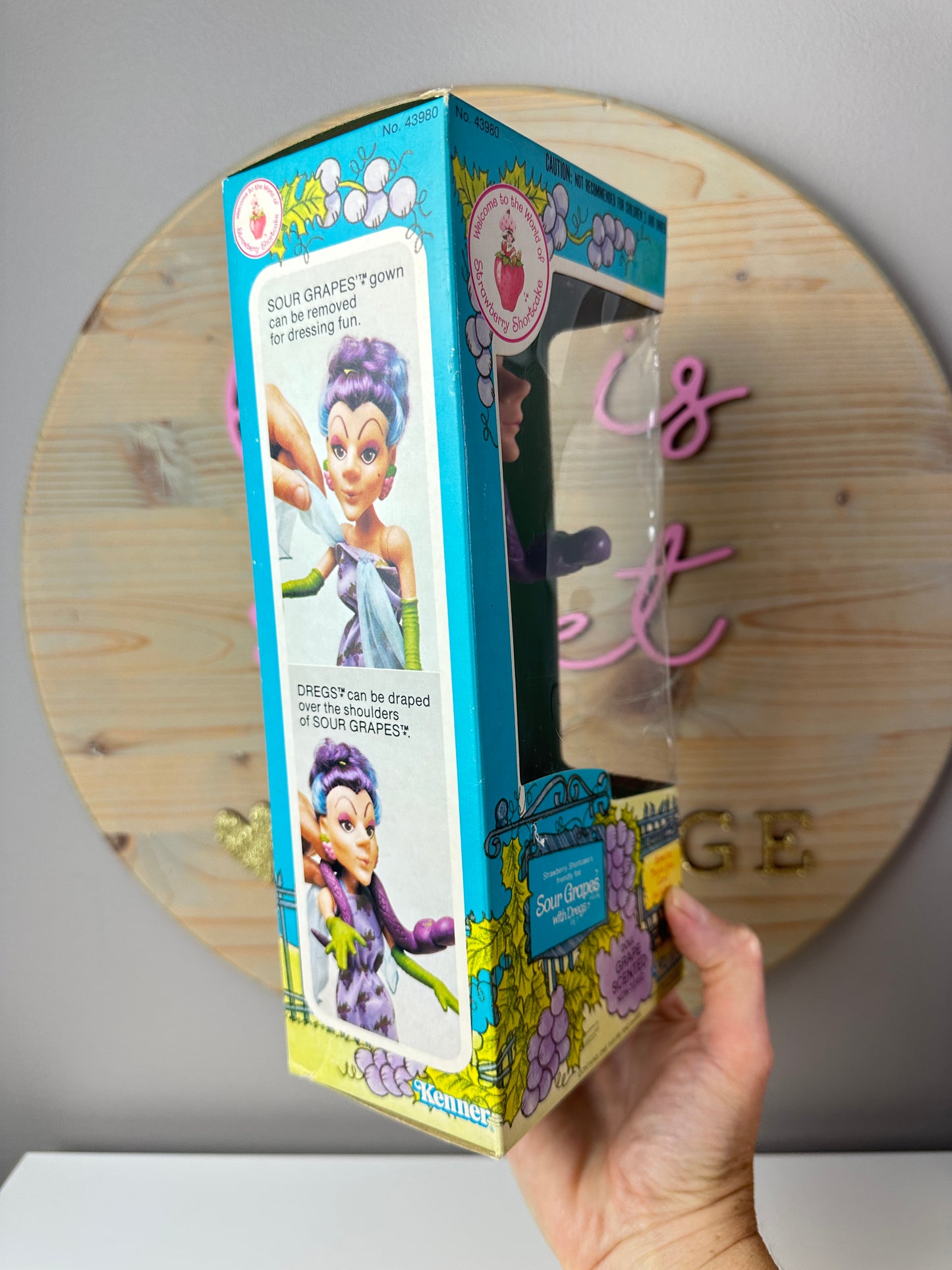 1982 Kenner Strawberry Shortcake Sour Grapes with Dregs Doll NRFB Sealed